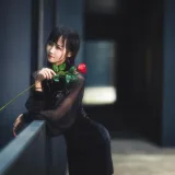 三度_69《玫瑰旗袍》写真图集 13P｜在线预览与图包下载