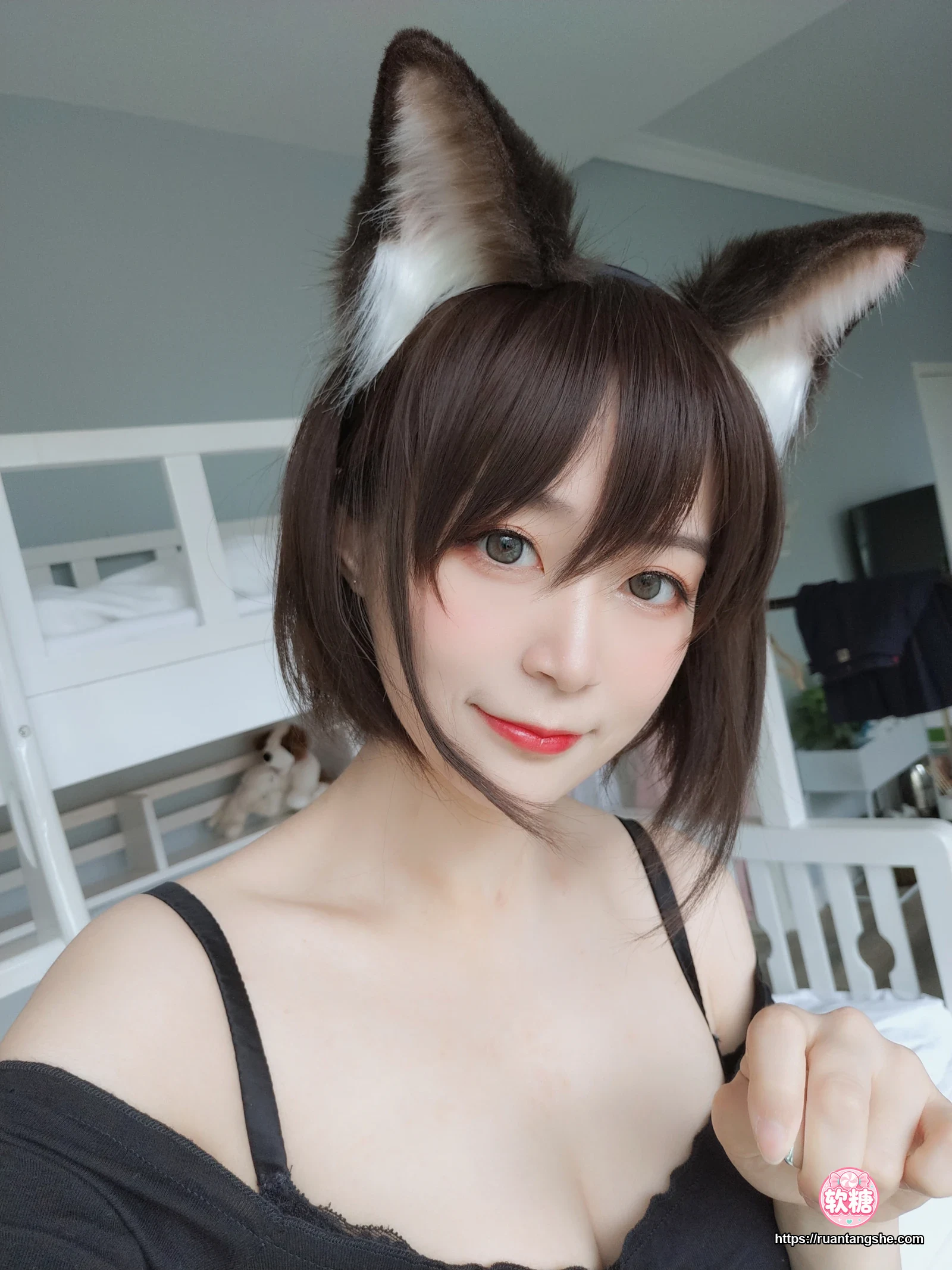 白银81 白银81 NO.004 - 布偶猫