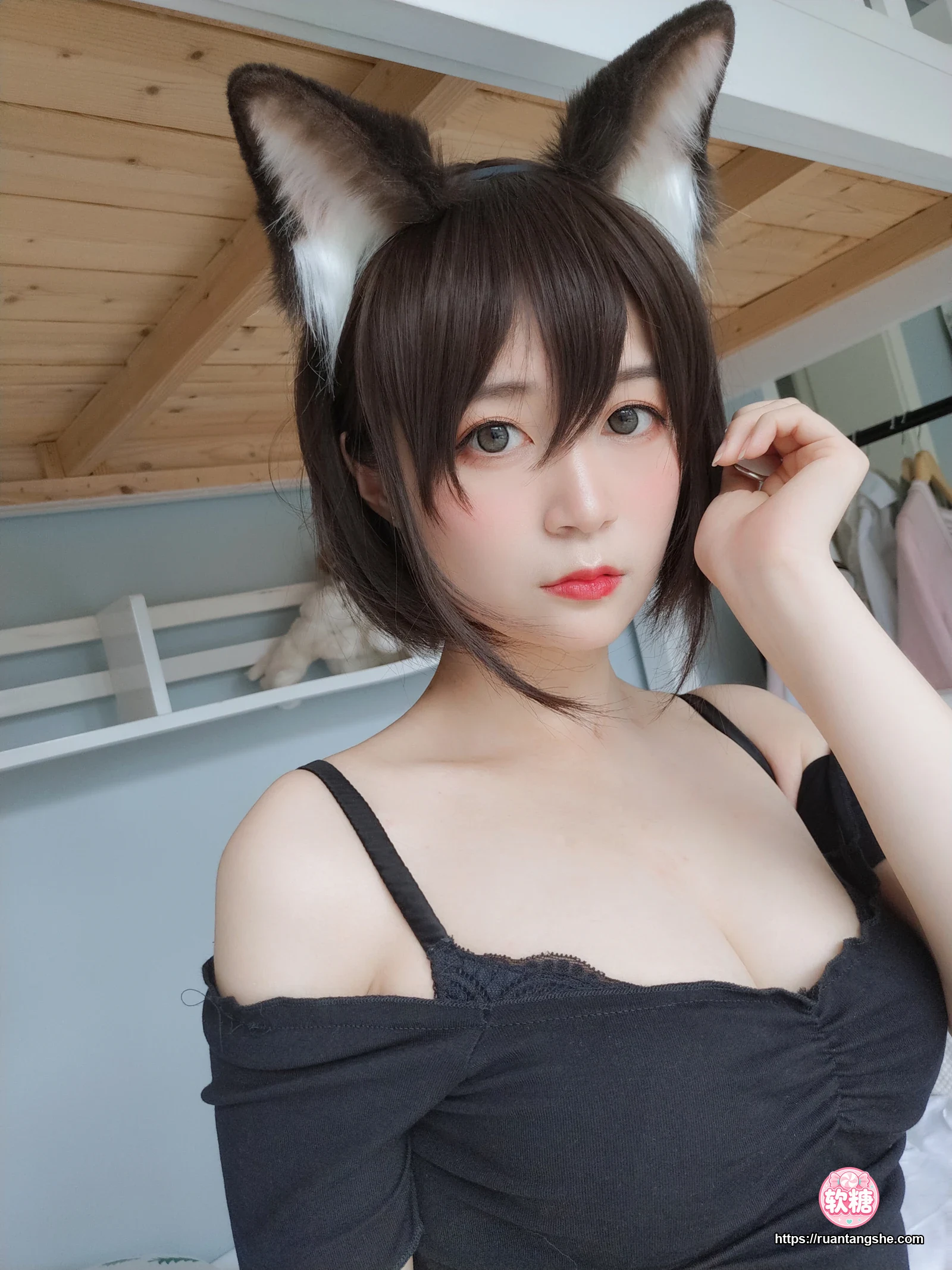 白银81 白银81 NO.004 - 布偶猫