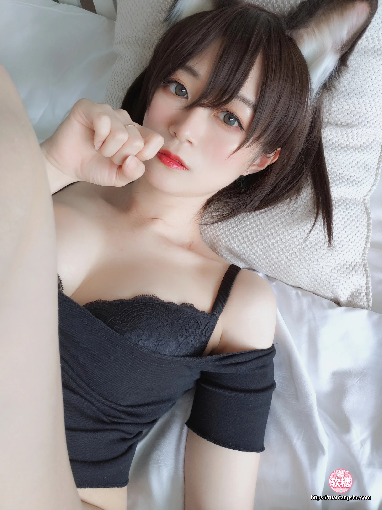 白银81 白银81 NO.004 - 布偶猫