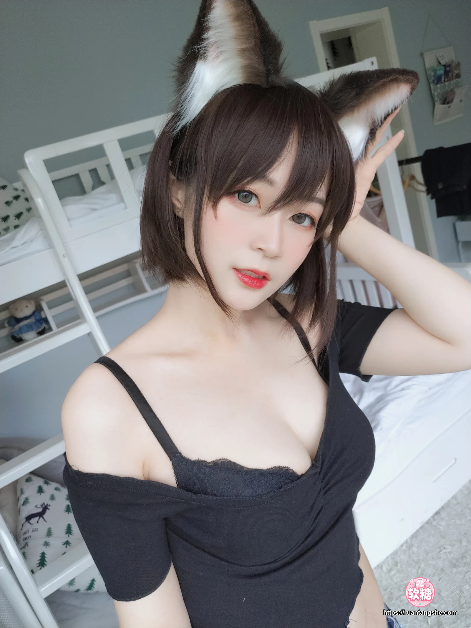 白银81 白银81 NO.004 - 布偶猫