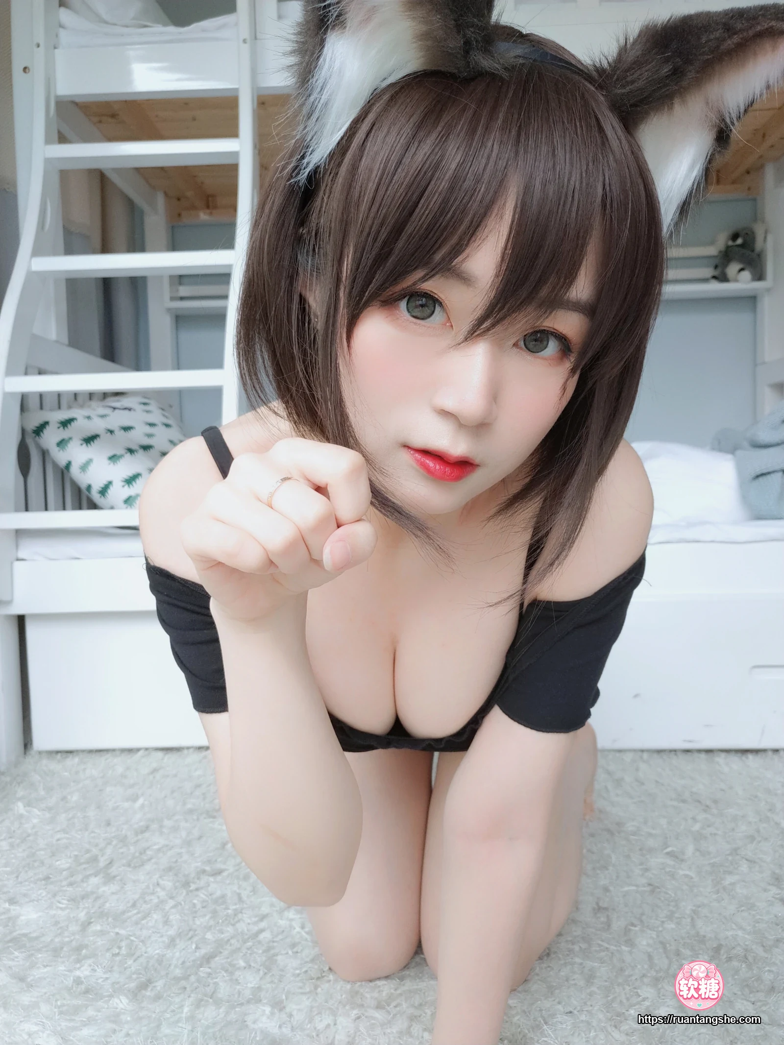 白银81 白银81 NO.004 - 布偶猫