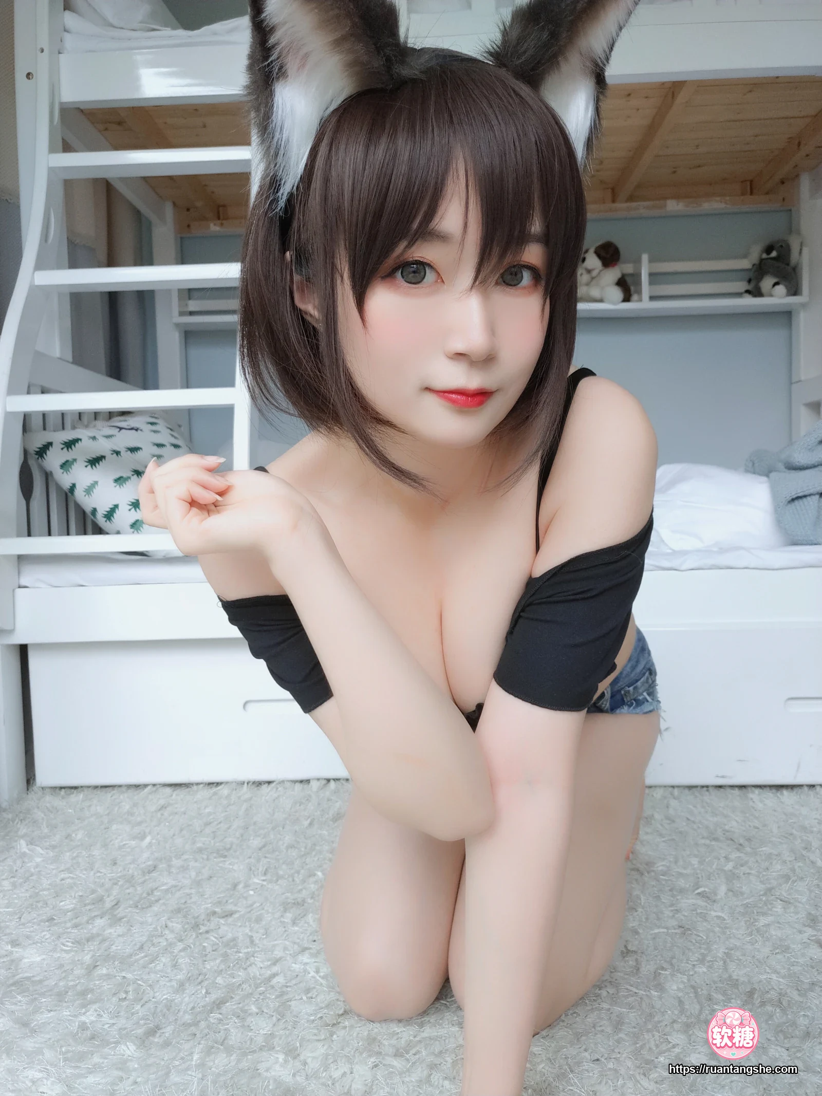 白银81 白银81 NO.004 - 布偶猫