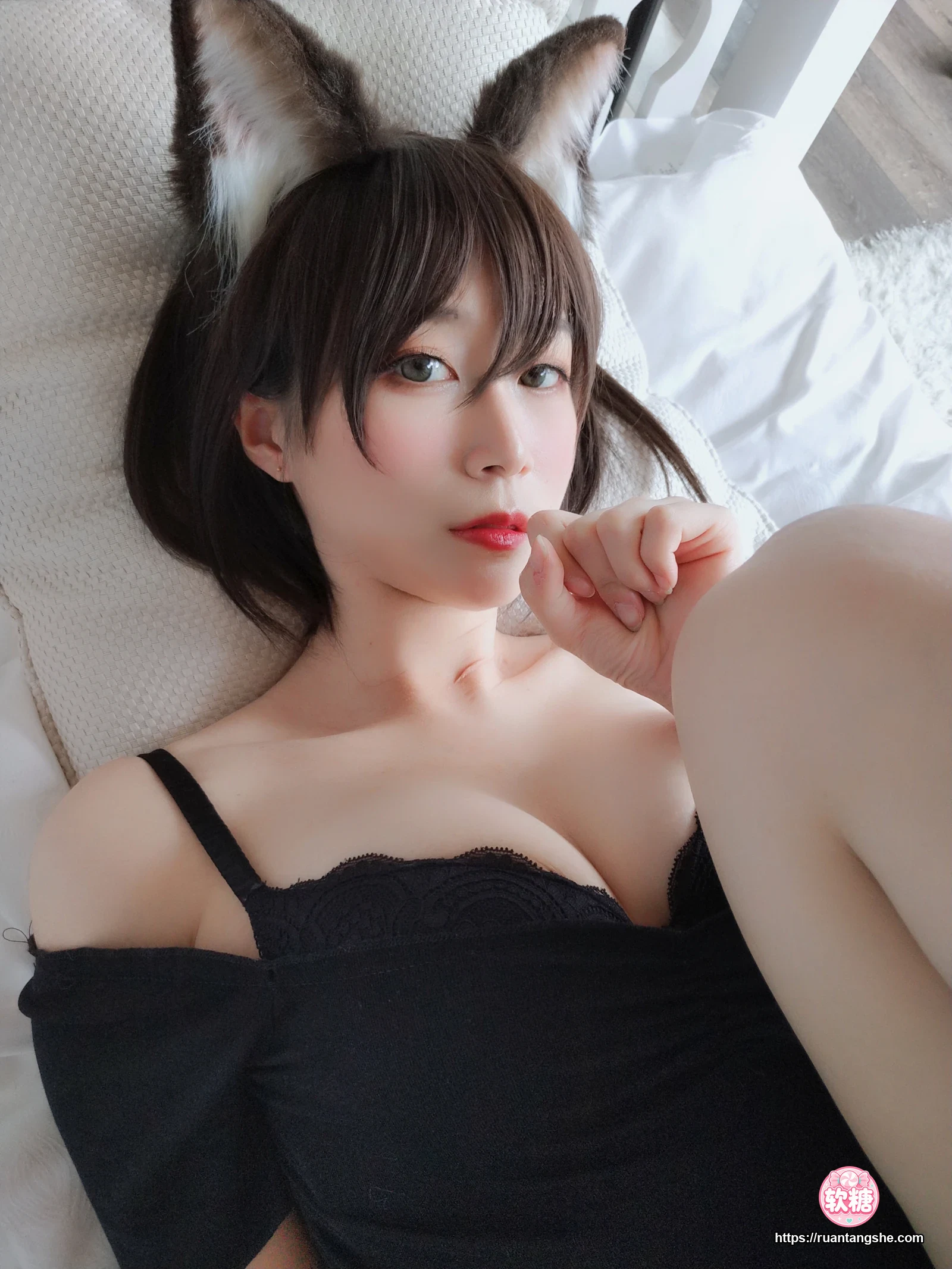 白银81 白银81 NO.004 - 布偶猫