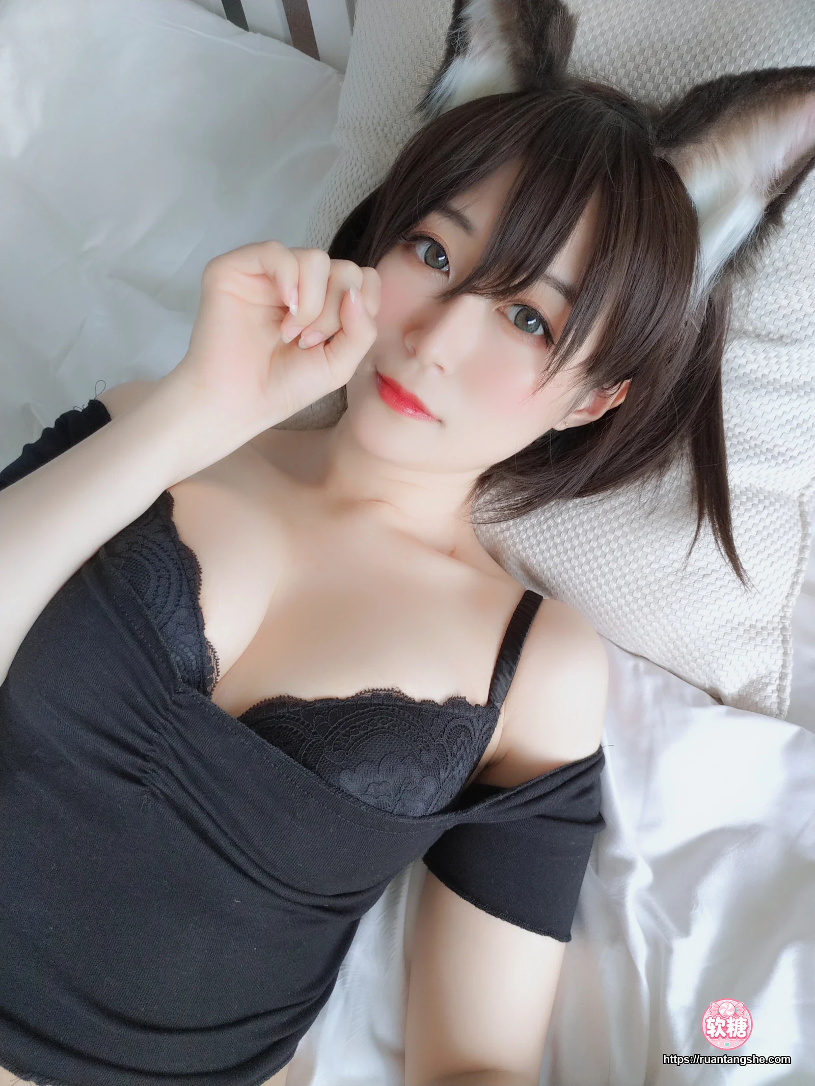 白银81 白银81 NO.004 - 布偶猫