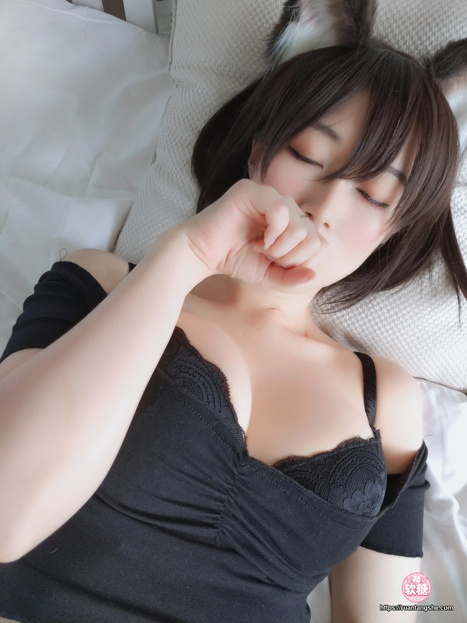 白银81 白银81 NO.004 - 布偶猫