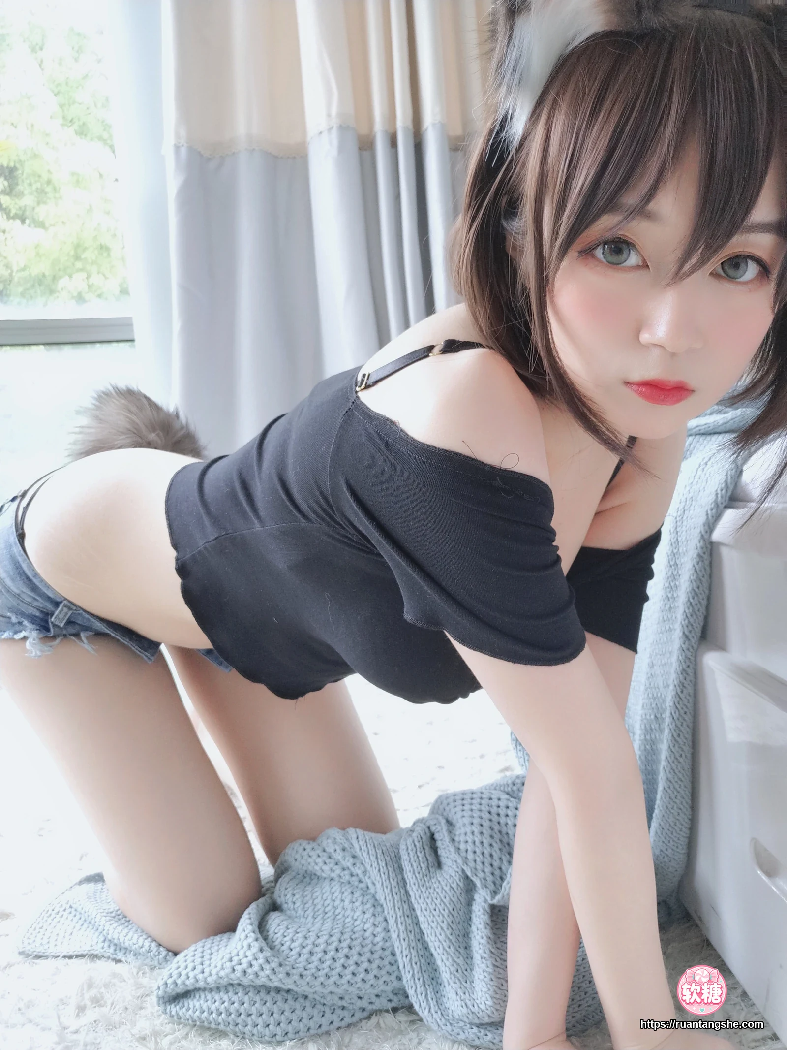 白银81 白银81 NO.004 - 布偶猫