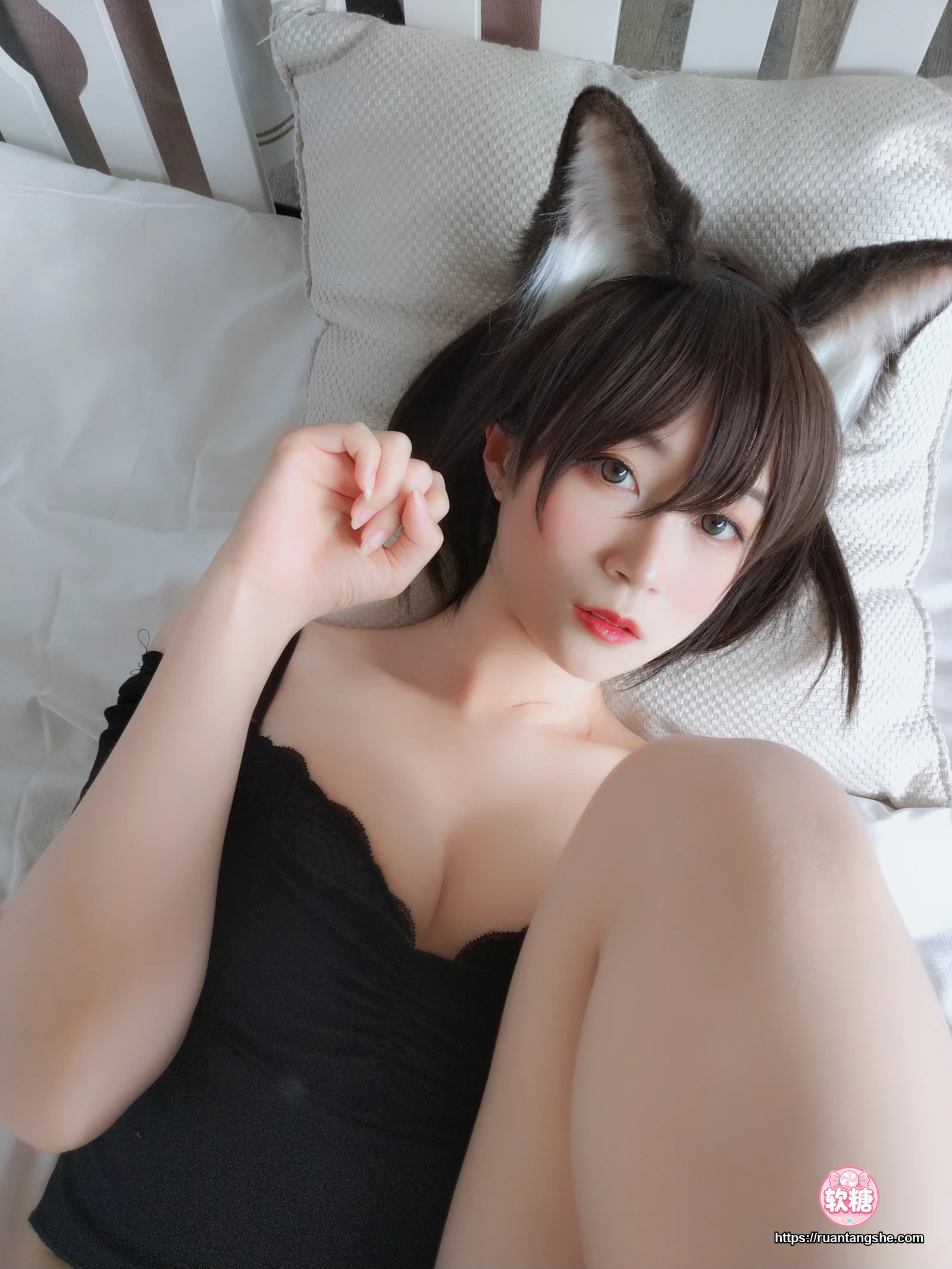 白银81 白银81 NO.004 - 布偶猫