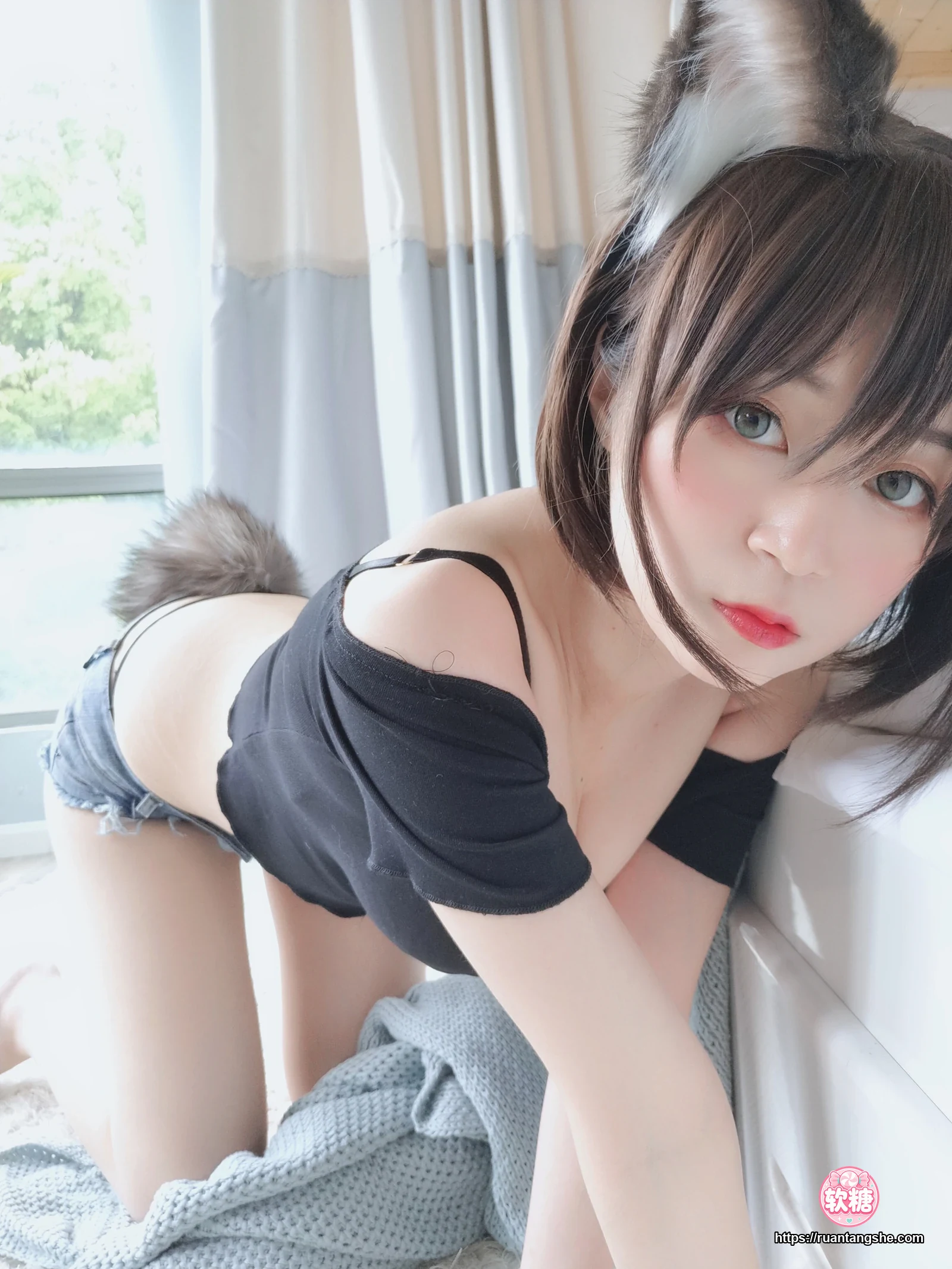 白银81 白银81 NO.004 - 布偶猫