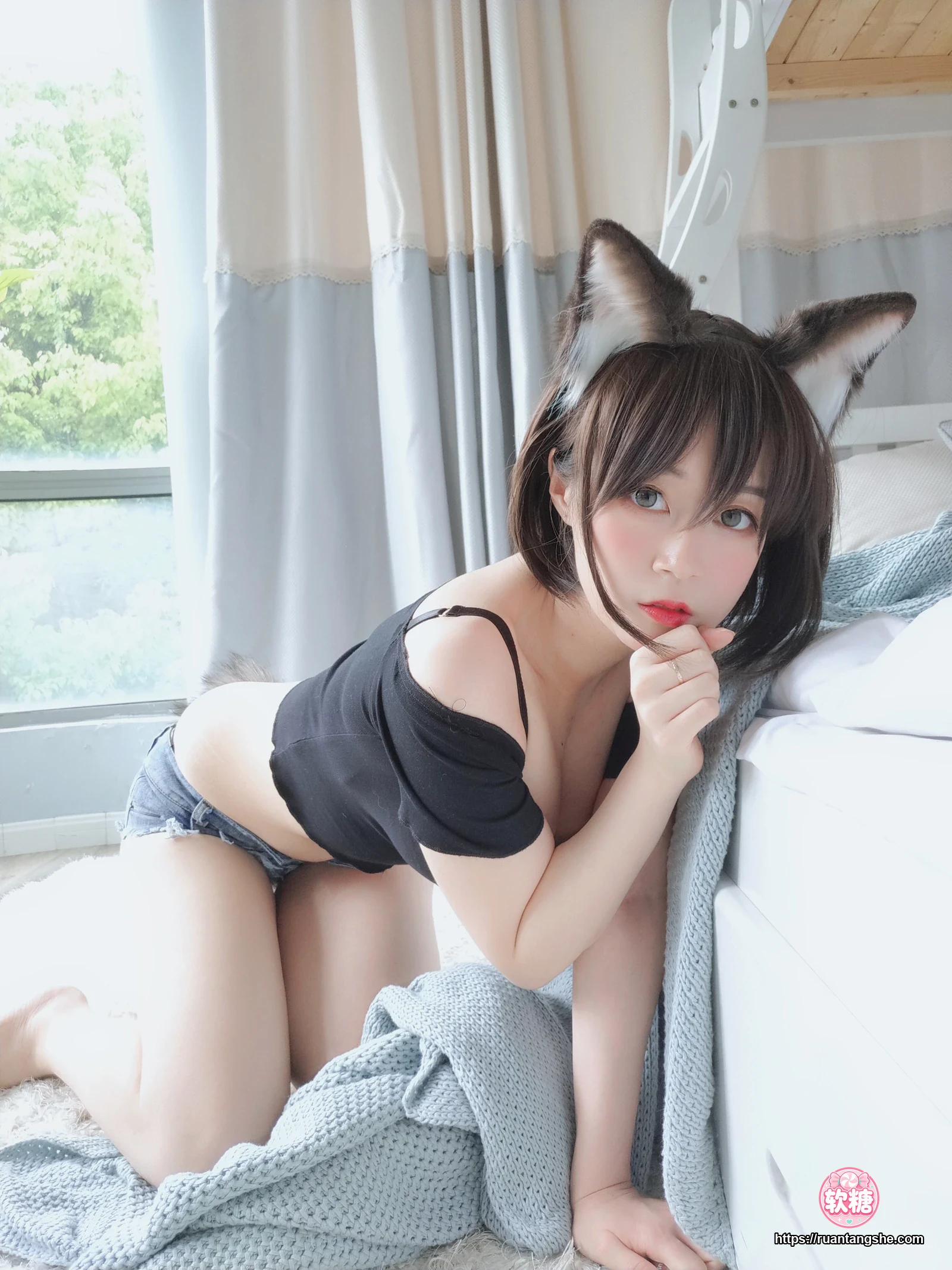 白银81 白银81 NO.004 - 布偶猫