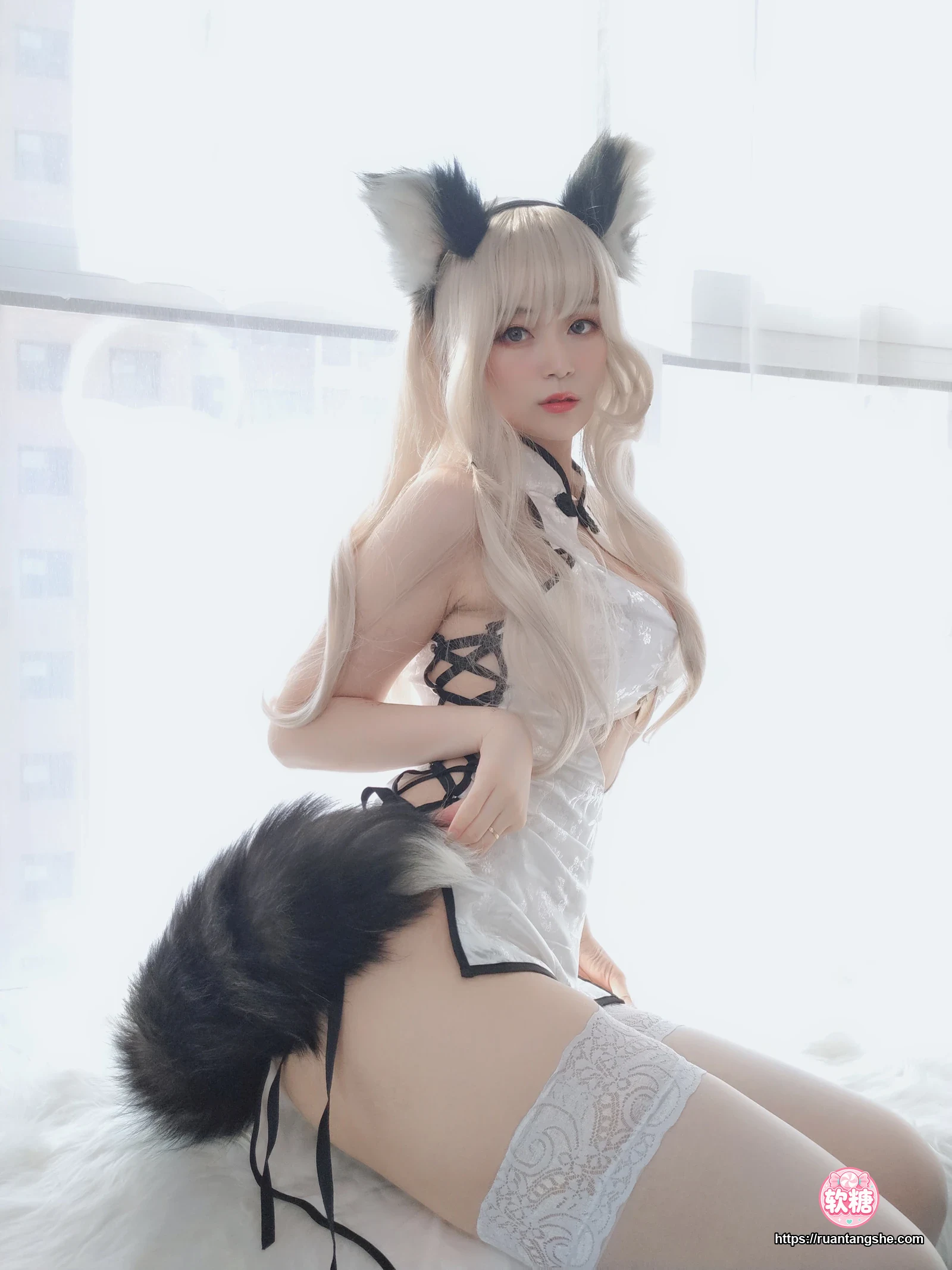 白银81 白银81 NO.025 - 小白狼