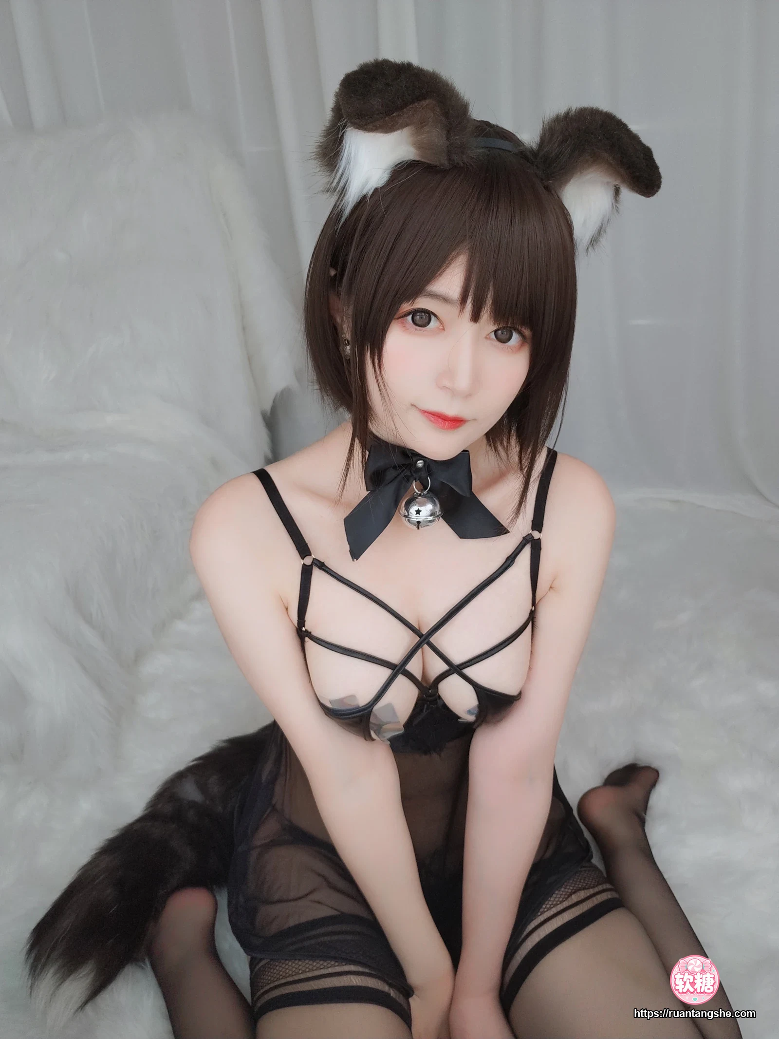 白银81 白银81 NO.044 - 折耳狗