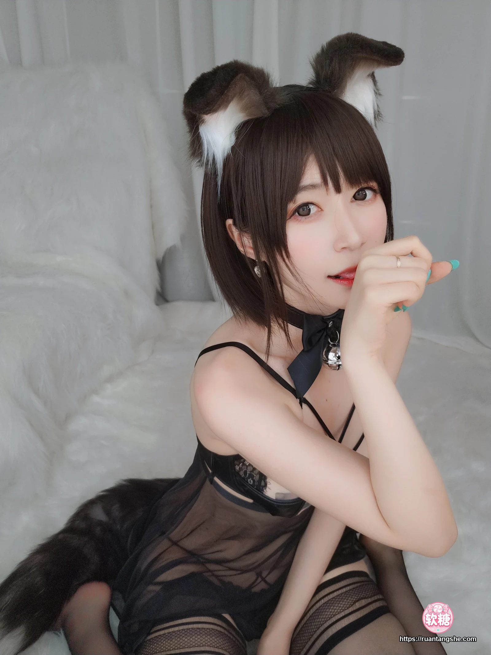 白银81 白银81 NO.044 - 折耳狗