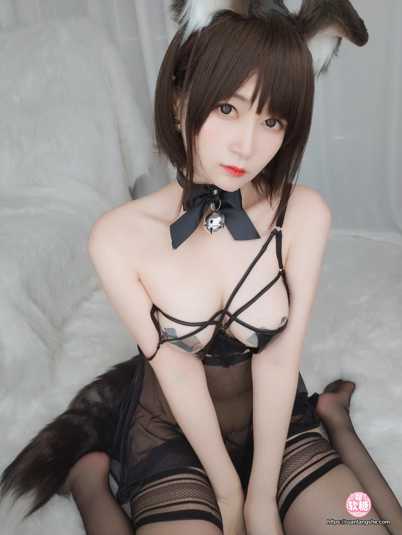 白银81 白银81 NO.044 - 折耳狗
