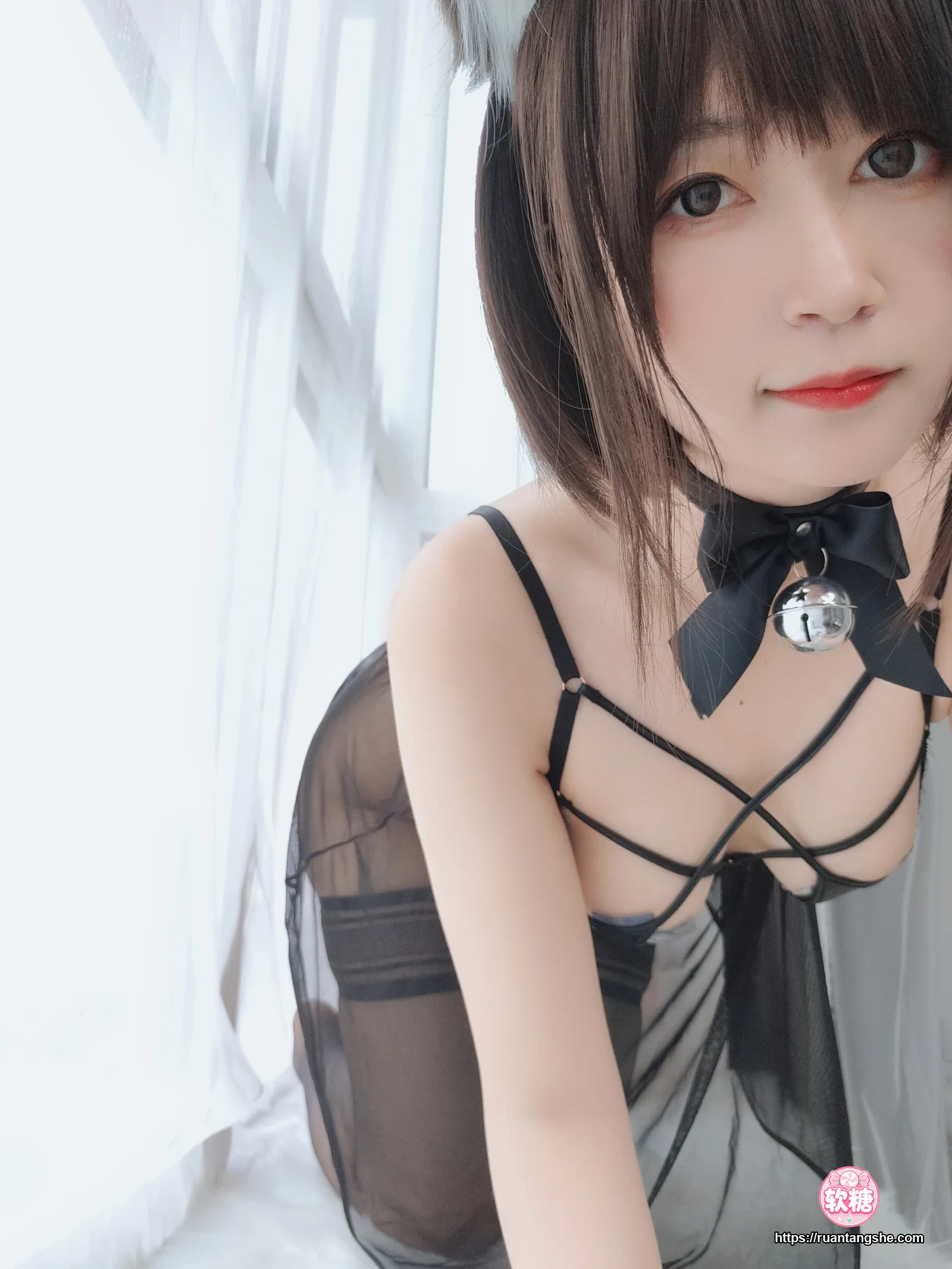 白银81 白银81 NO.044 - 折耳狗