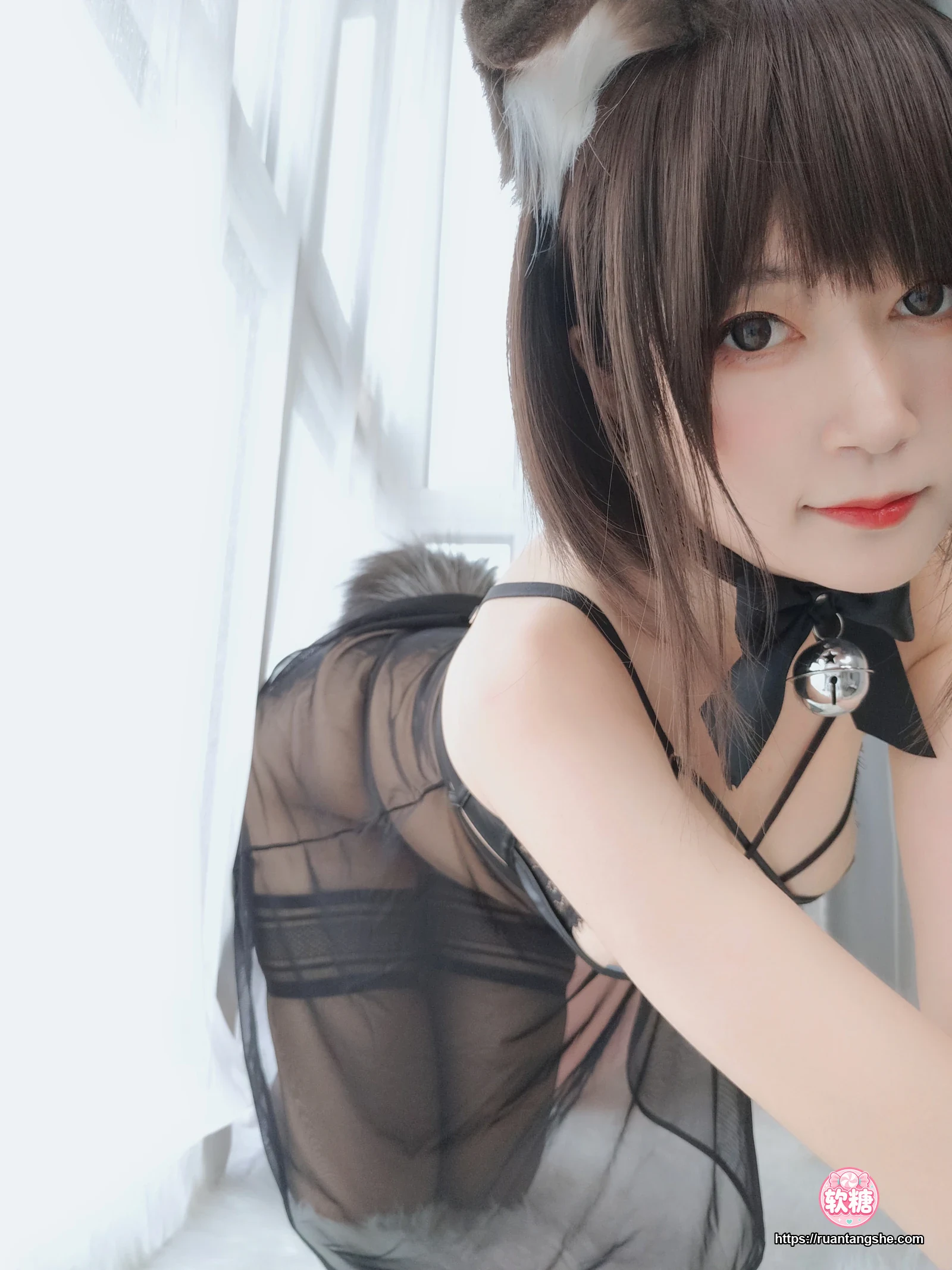 白银81 白银81 NO.044 - 折耳狗