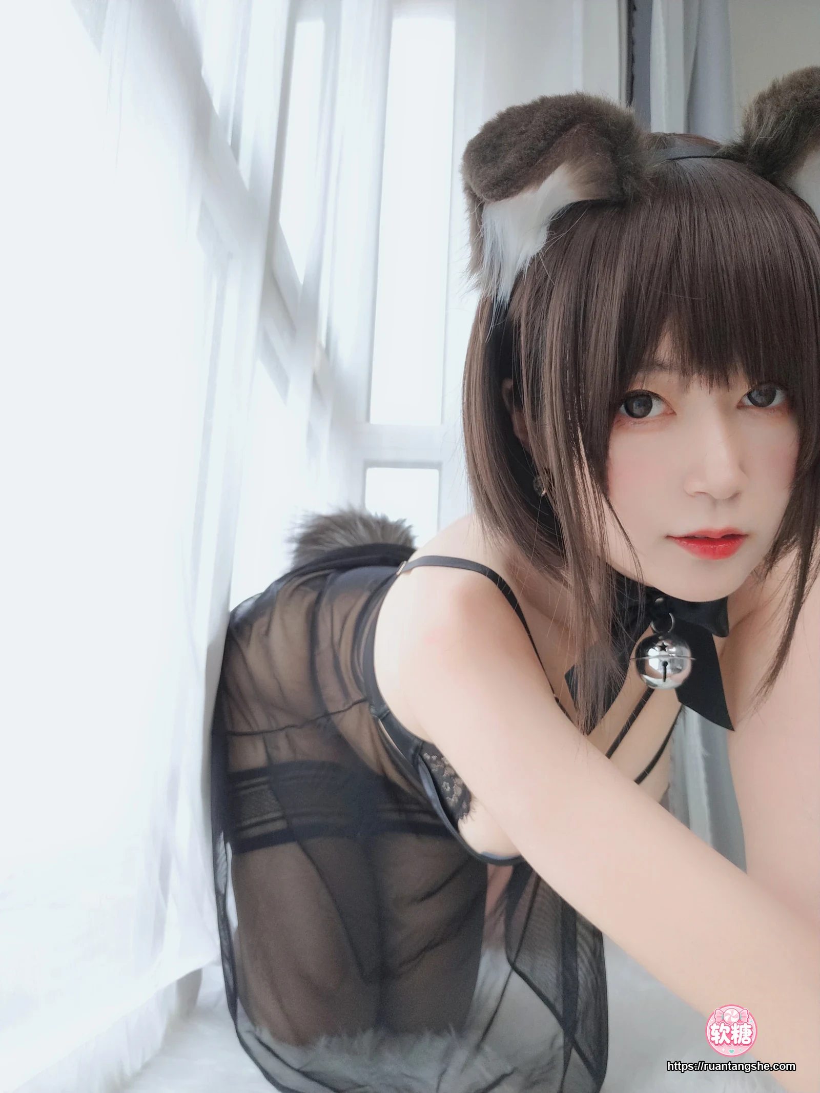 白银81 白银81 NO.044 - 折耳狗