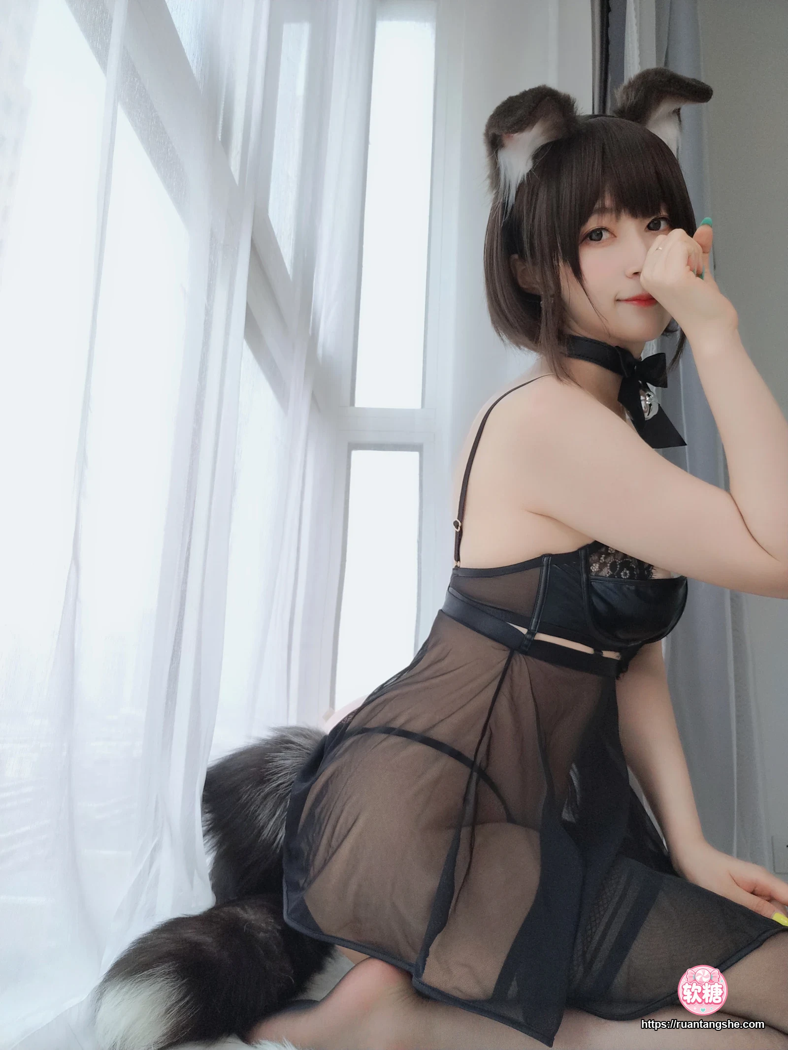 白银81 白银81 NO.044 - 折耳狗