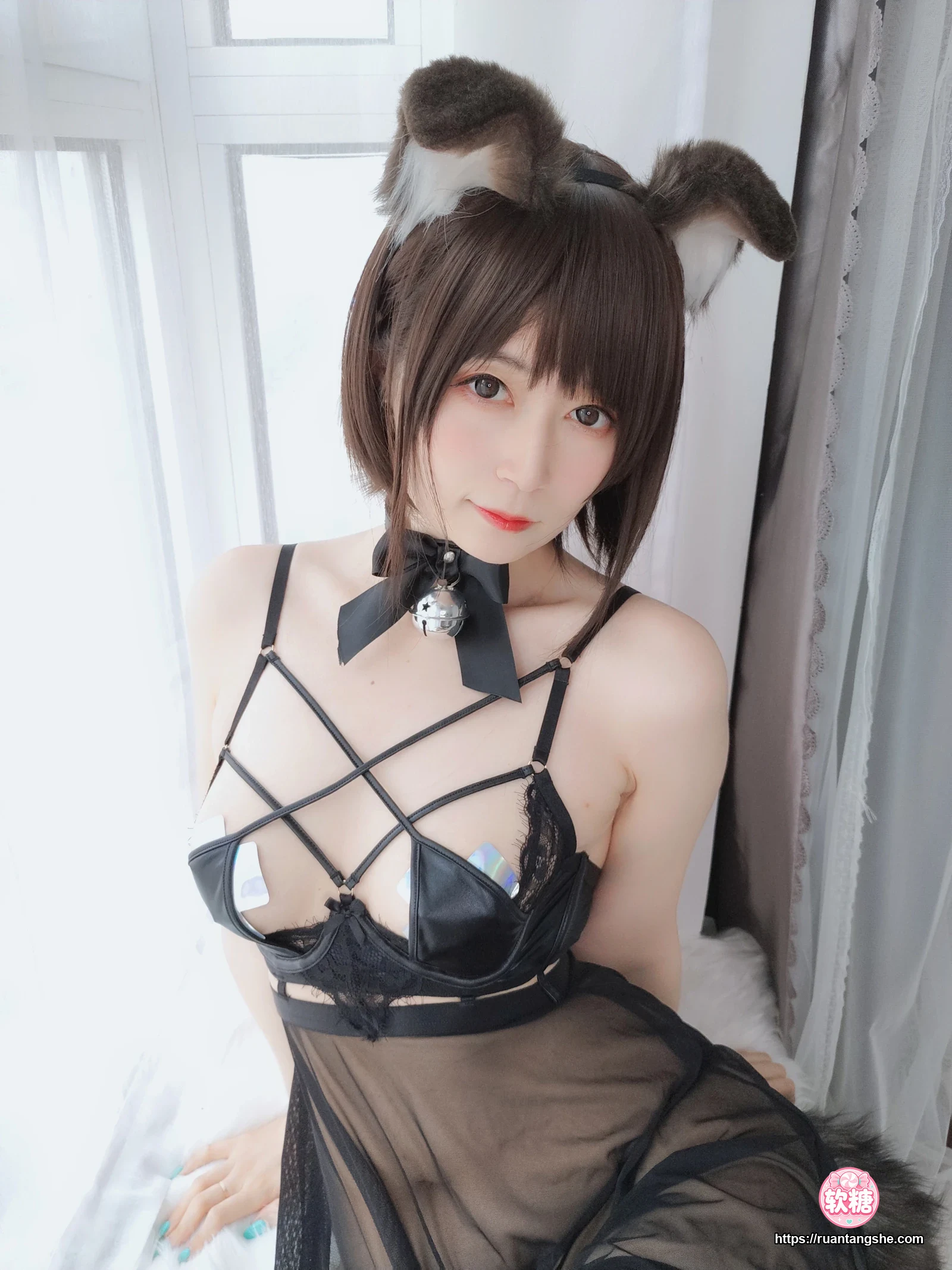 白银81 白银81 NO.044 - 折耳狗