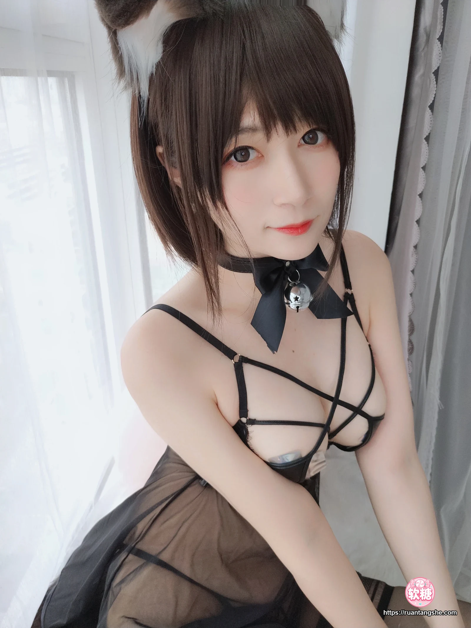 白银81 白银81 NO.044 - 折耳狗