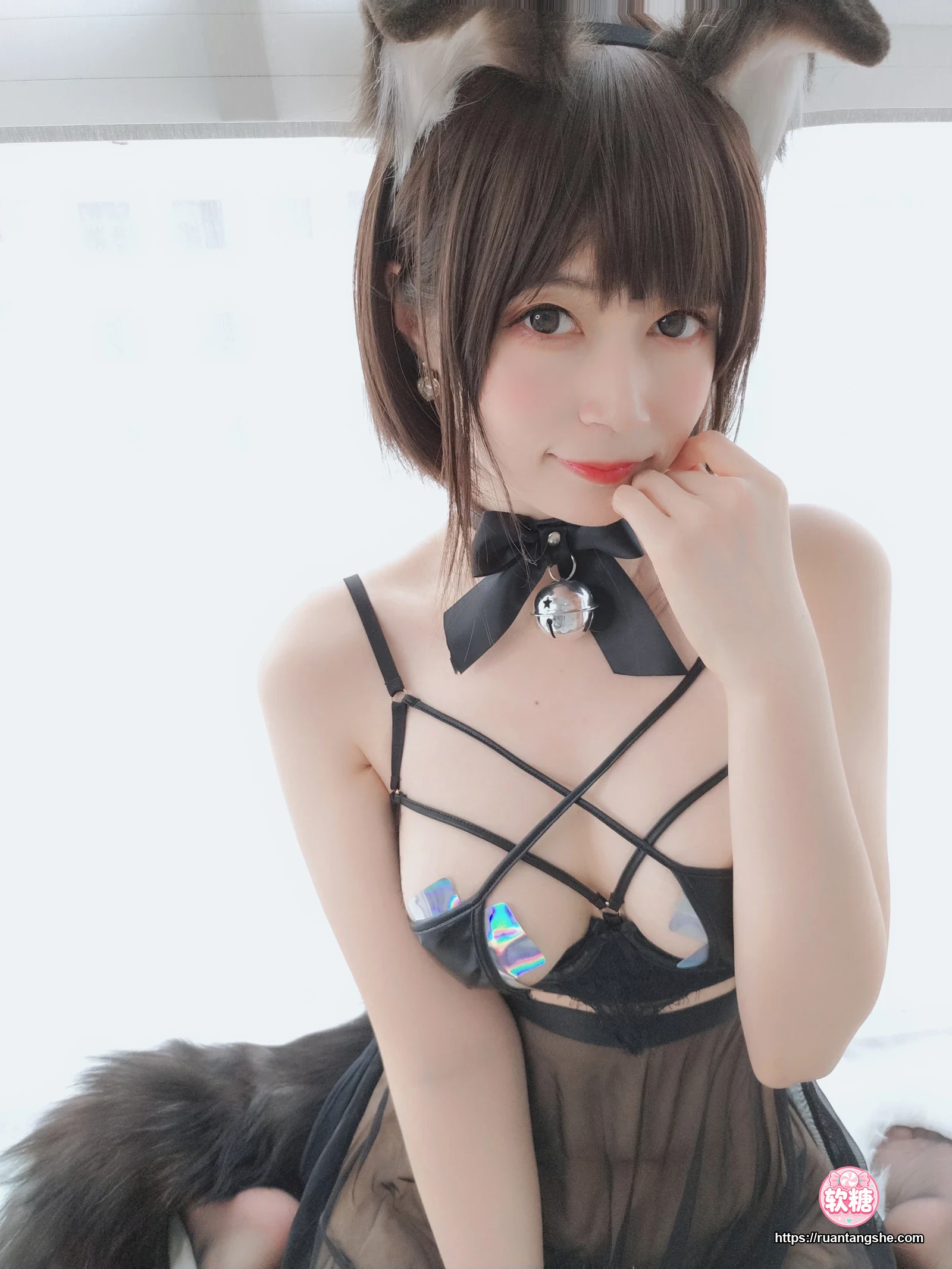 白银81 白银81 NO.044 - 折耳狗