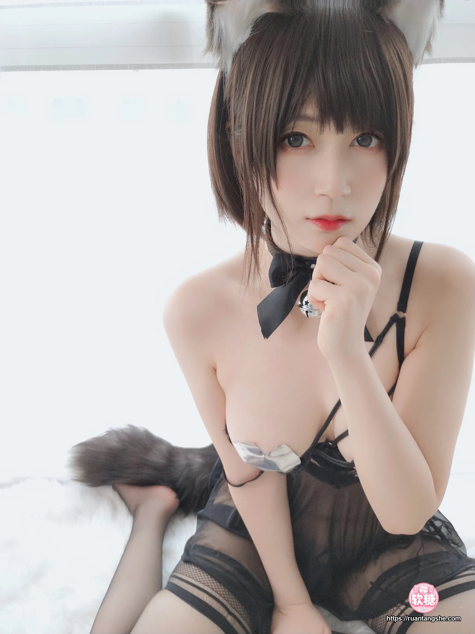 白银81 白银81 NO.044 - 折耳狗