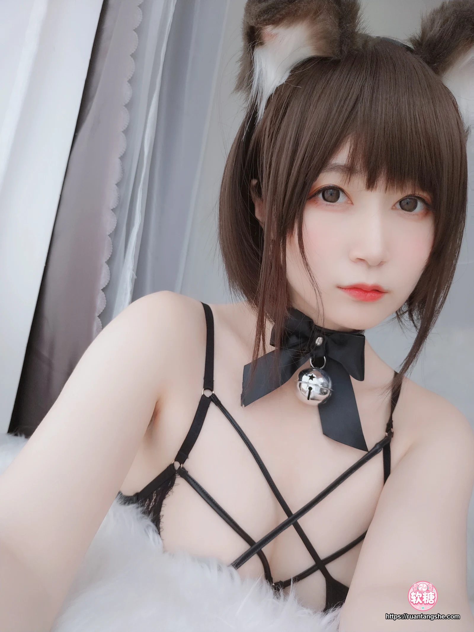 白银81 白银81 NO.044 - 折耳狗