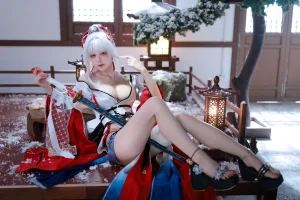 水淼Aqua《鸣潮 绯雪》写真图集 51P｜在线预览与图包下载