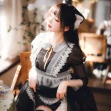雪晴Astra《2024春季限定 透明女仆》写真图集 71P+2V｜在线预览与图包下载