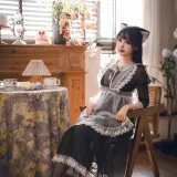 雪晴Astra《2024春季限定 透明女仆》写真图集 71P+2V｜在线预览与图包下载