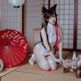 二佐Nisa《犬之眷 碧蓝爱宕旗袍》写真图集 18P｜在线预览与图包下载