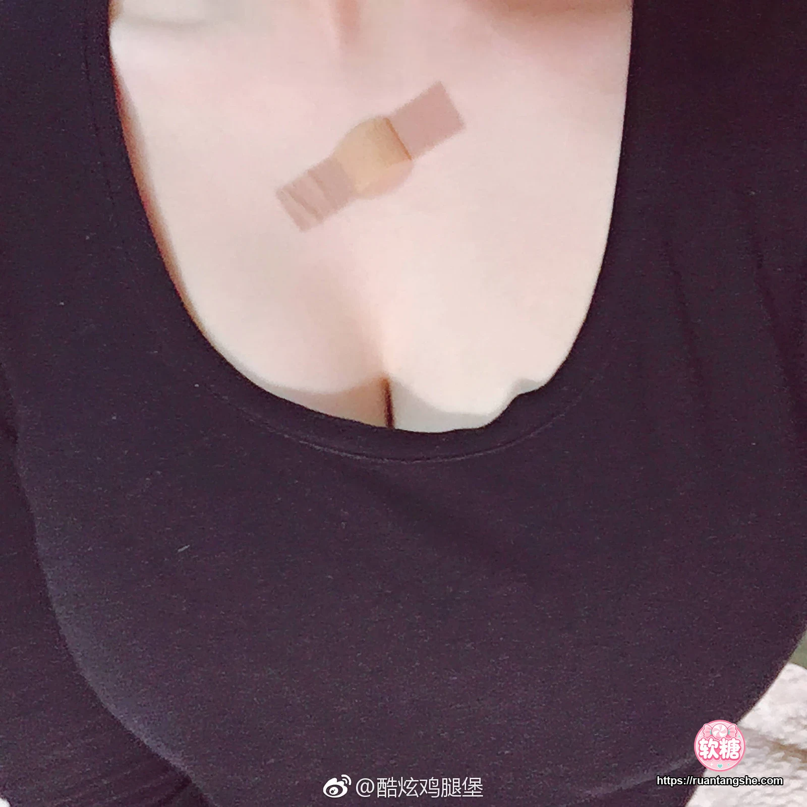 皮皮奶 皮皮奶 NO.004 - 自拍合集