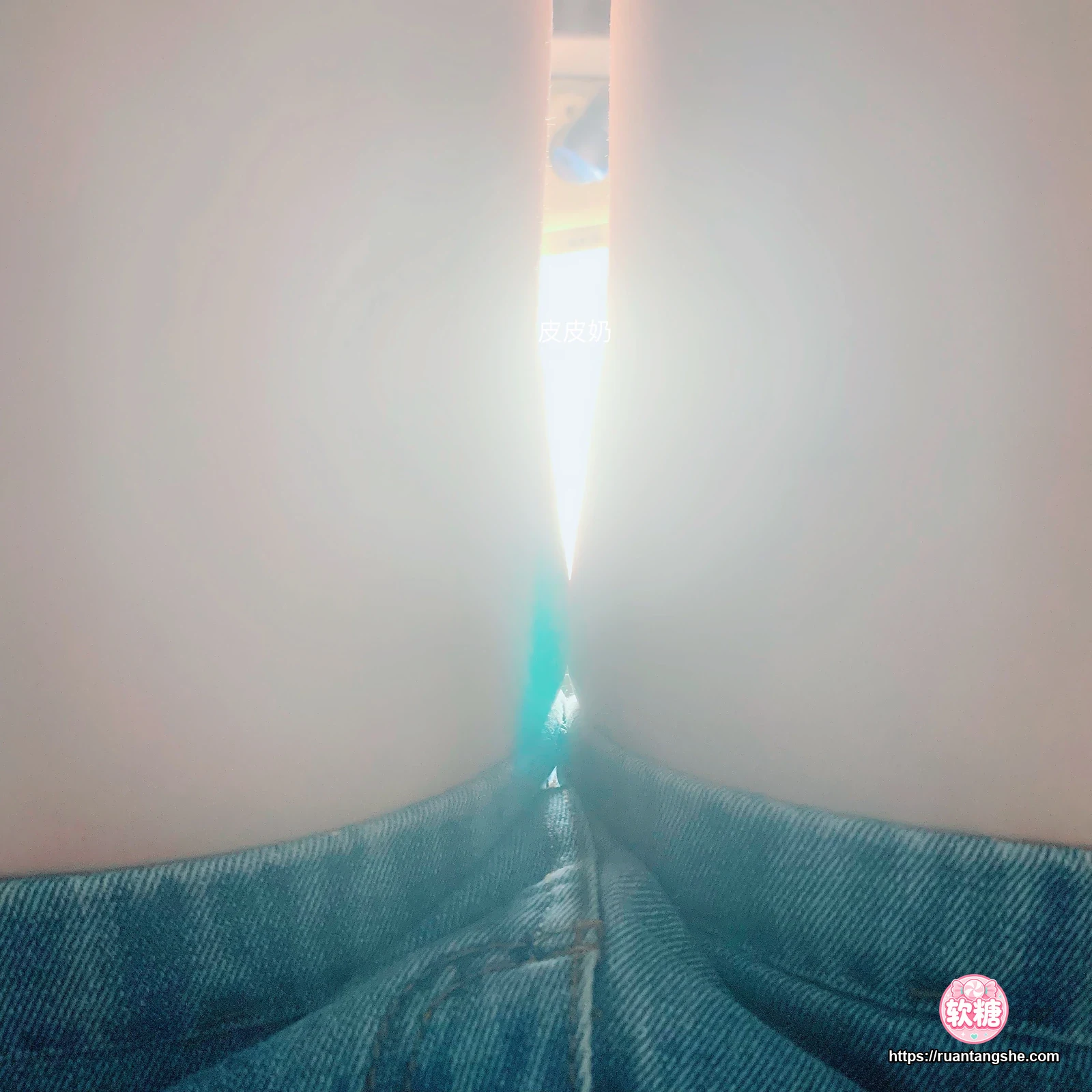 皮皮奶 皮皮奶 NO.004 - 自拍合集