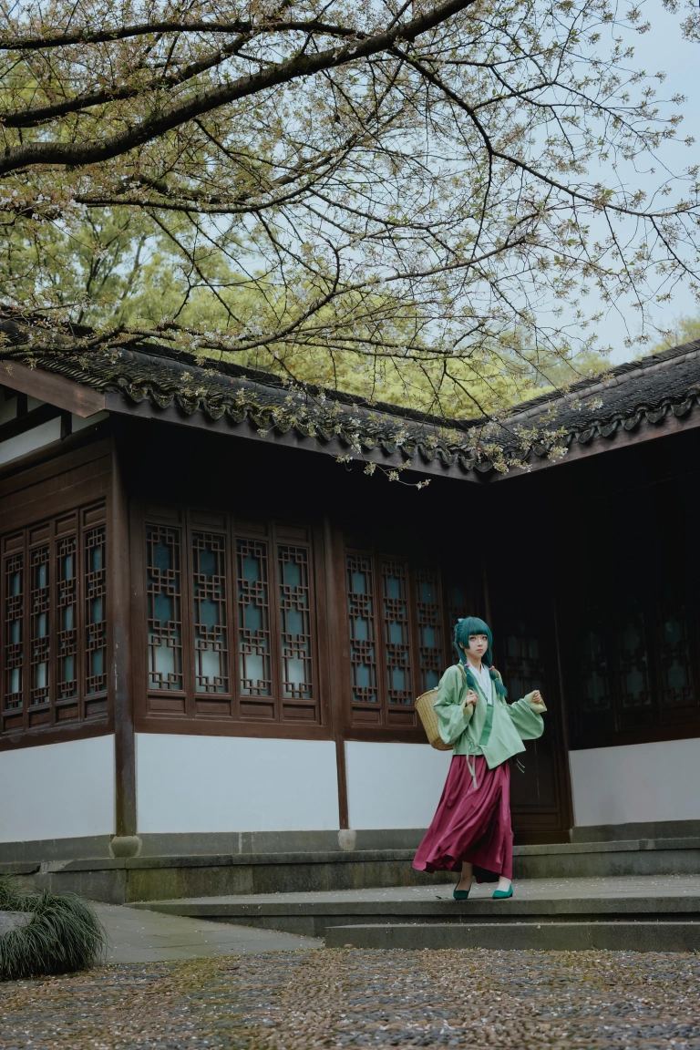 矢量鱼《药屋少女的呢喃 猫猫》写真图集 52P｜在线预览与图包下载
