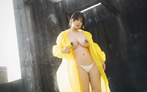 浅安安《湮灭》写真图集 70P｜在线预览与图包下载