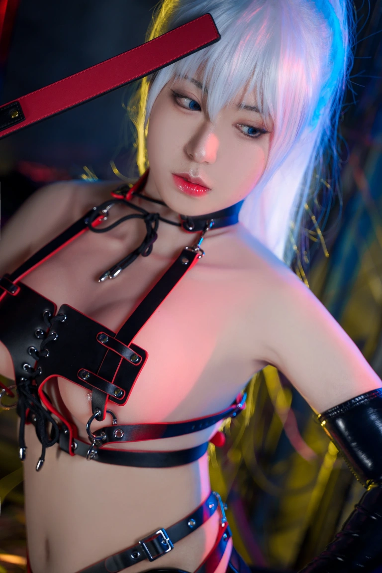 虎森森《皮革女王》写真图集 25P｜在线预览与图包下载