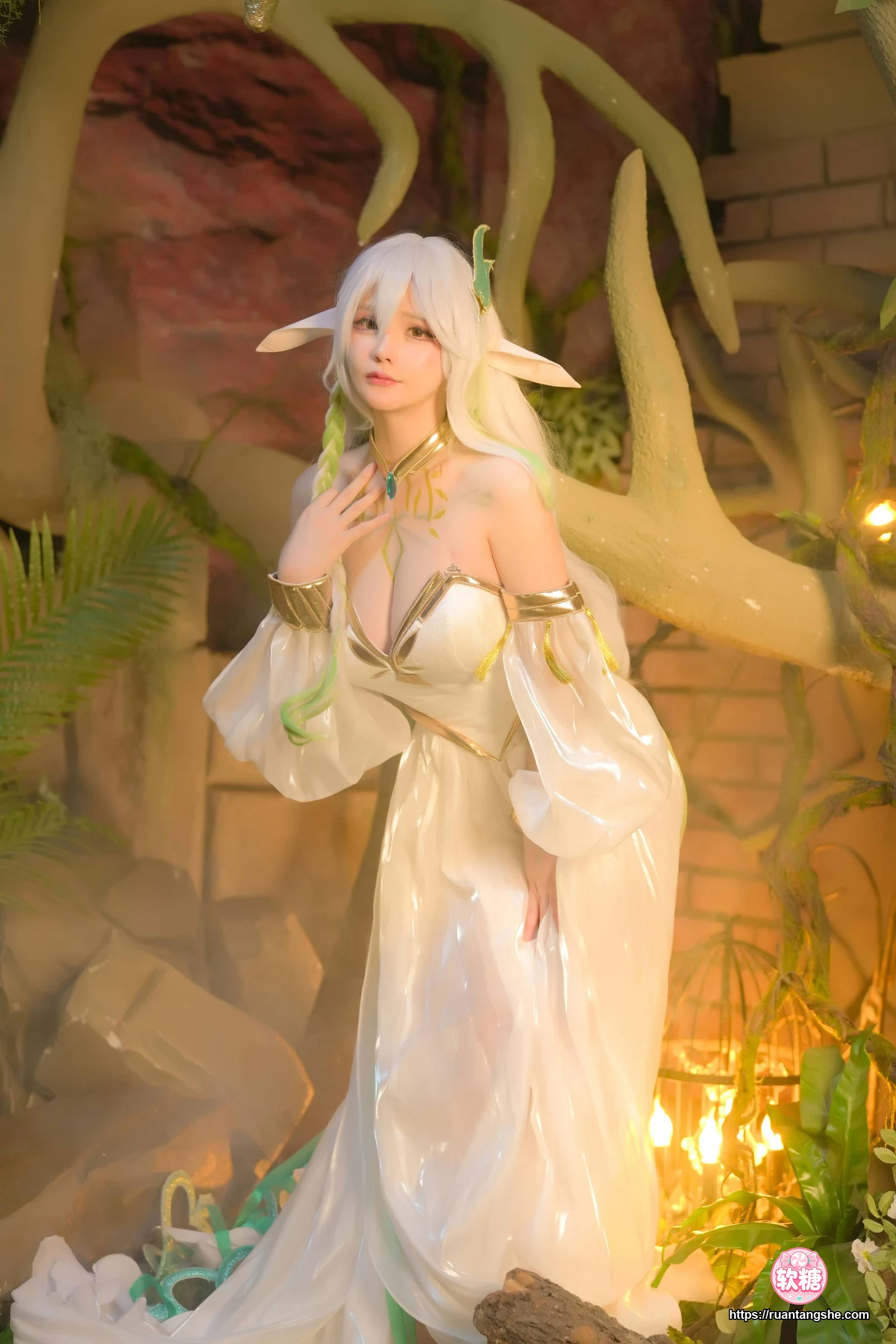 前羽 前羽 NO.015 - 大慈树王