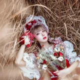 阿包也是兔娘《Lolita红裙》写真图集 12P｜在线预览与图包下载