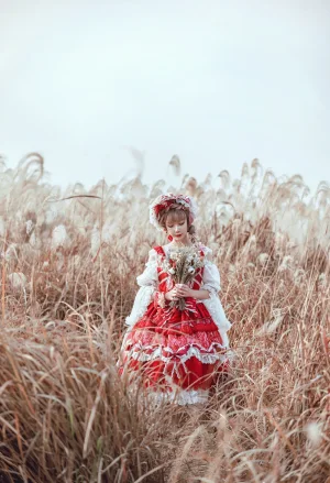 阿包也是兔娘《Lolita红裙》写真图集 12P｜在线预览与图包下载