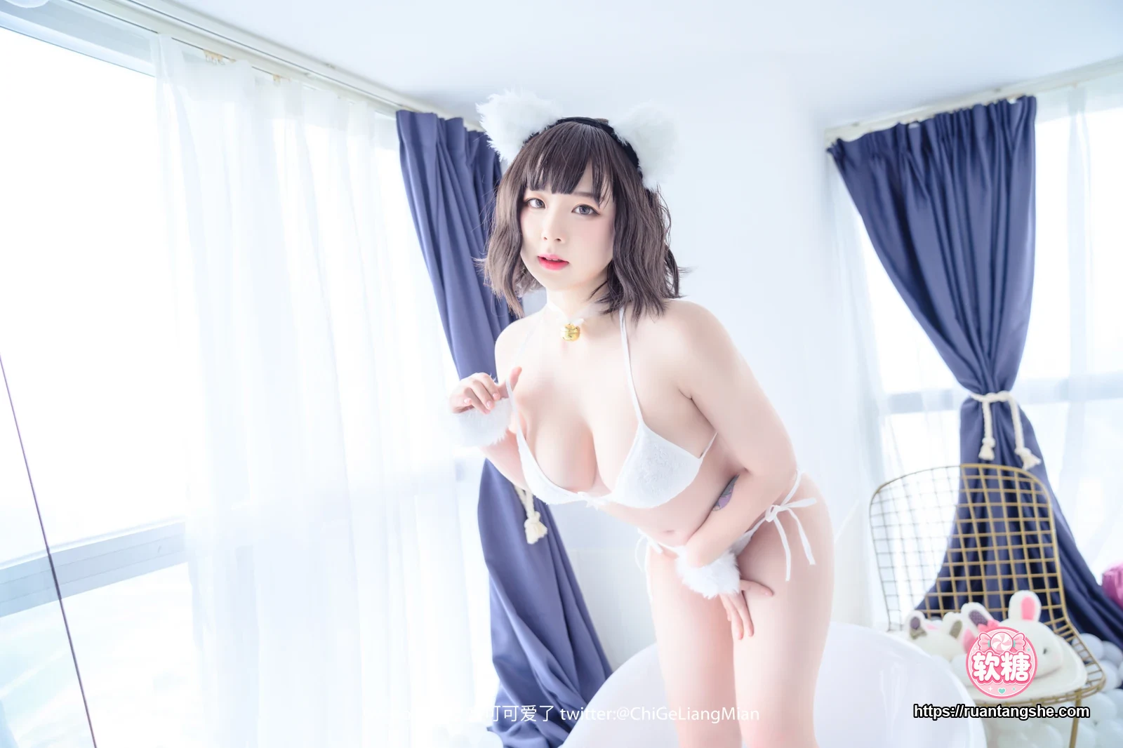 皮皮奶 皮皮奶 NO.020 - 白猫