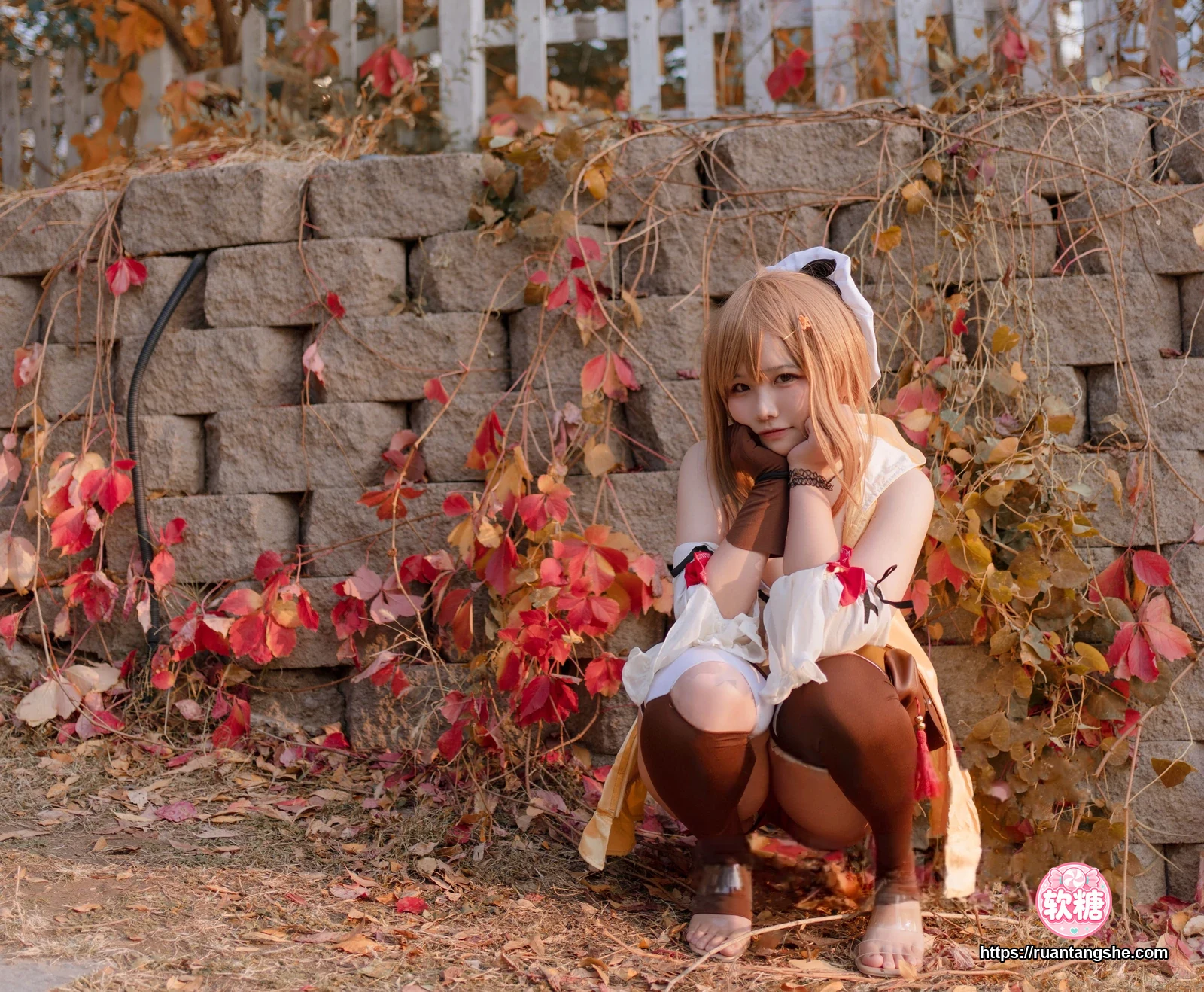 阿半今天很开心 阿半今天很开心 NO.029 - 莱莎的炼金工房 莱莎