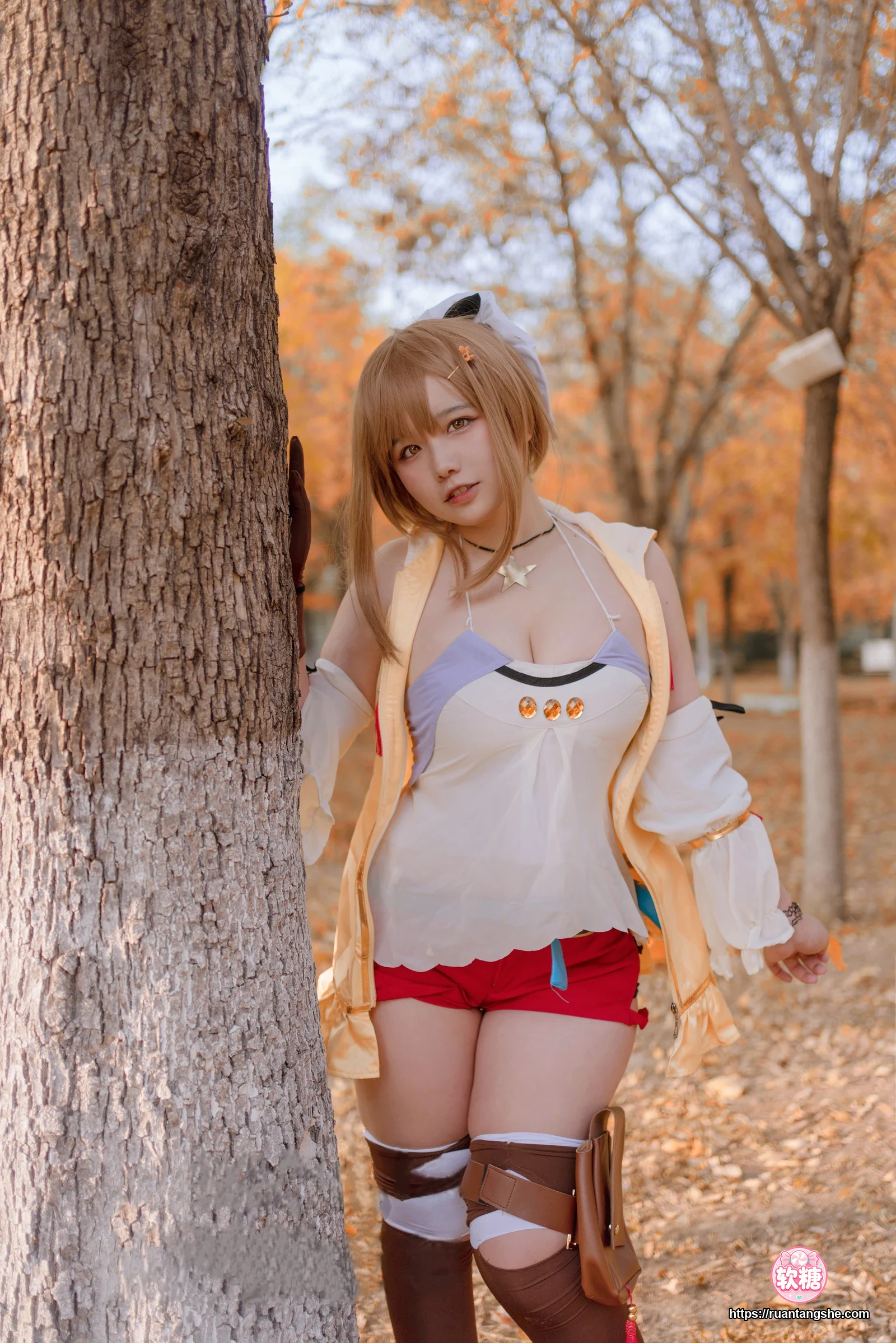 阿半今天很开心 阿半今天很开心 NO.029 - 莱莎的炼金工房 莱莎
