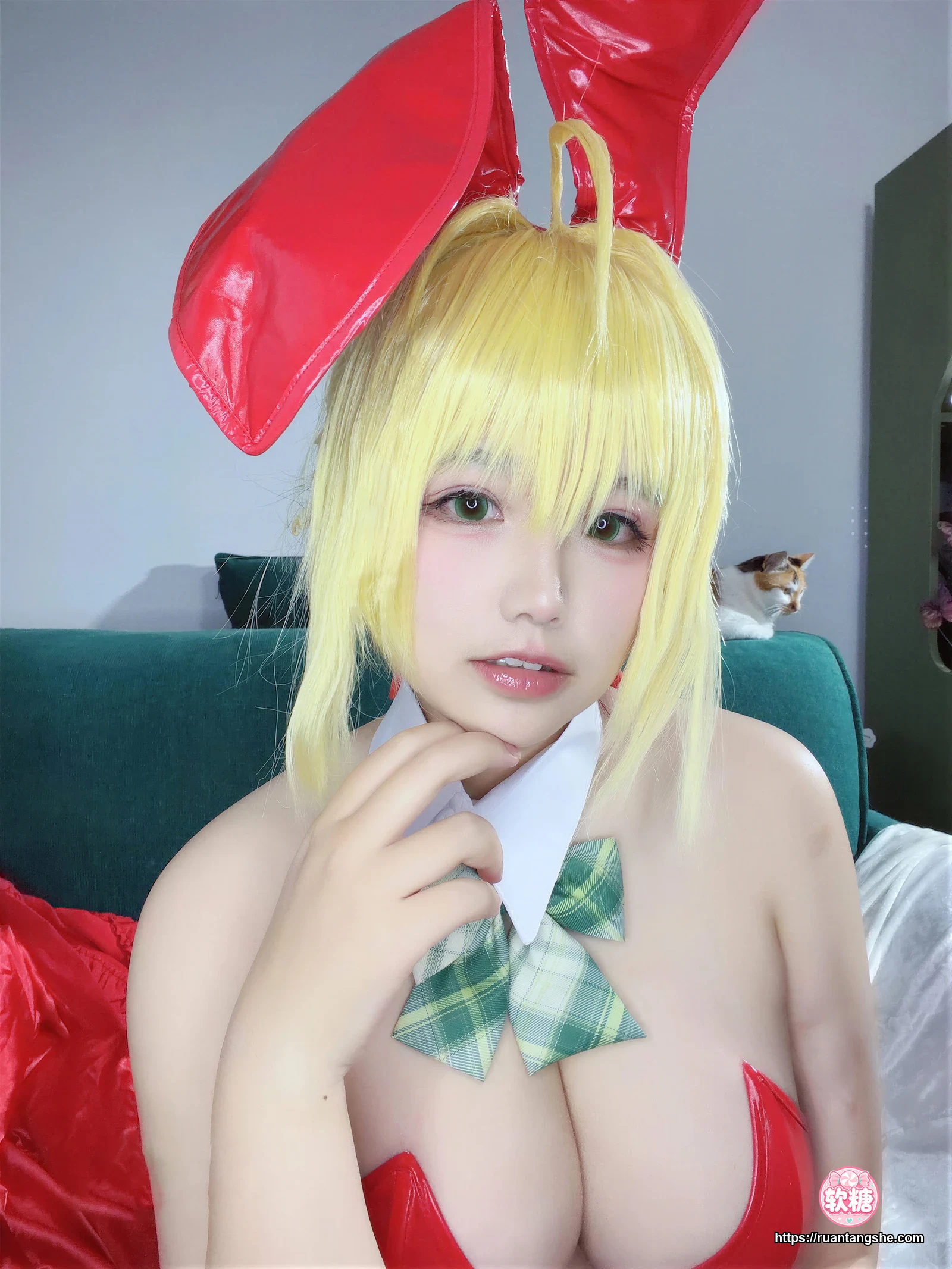 阿半今天很开心 阿半今天很开心 NO.046 - FGO 尼禄圣诞节