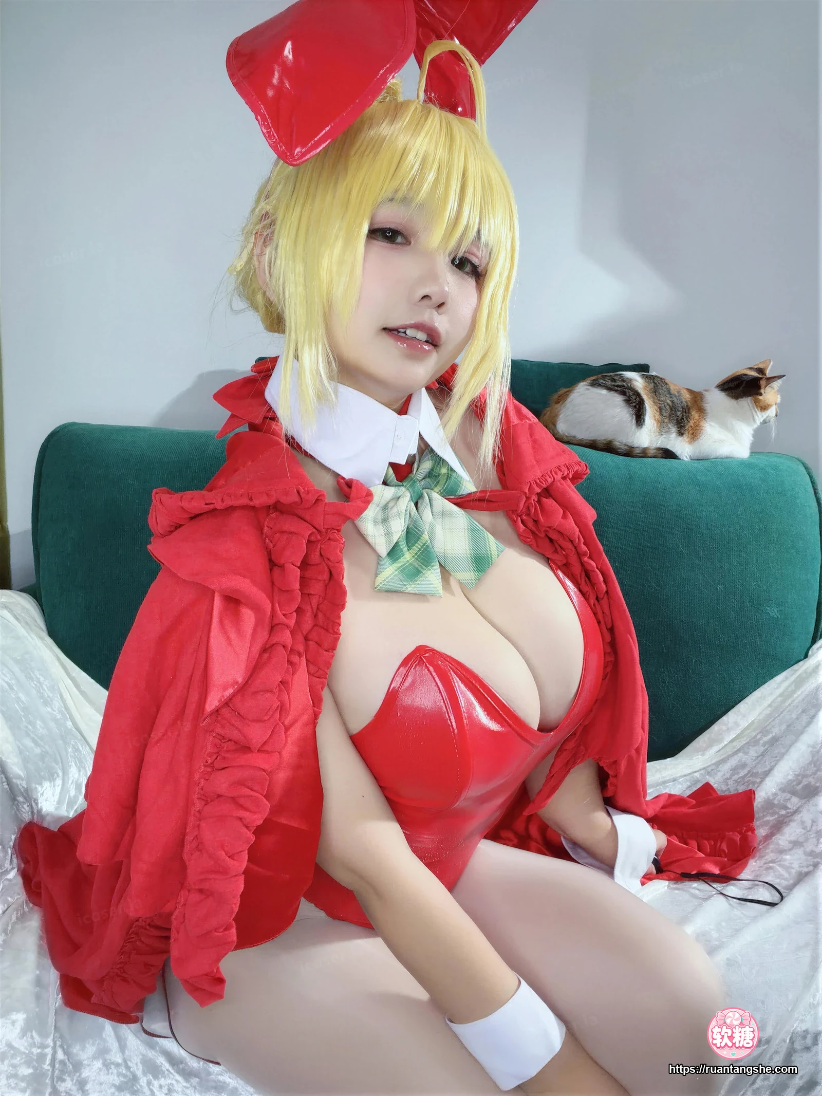 阿半今天很开心 阿半今天很开心 NO.046 - FGO 尼禄圣诞节