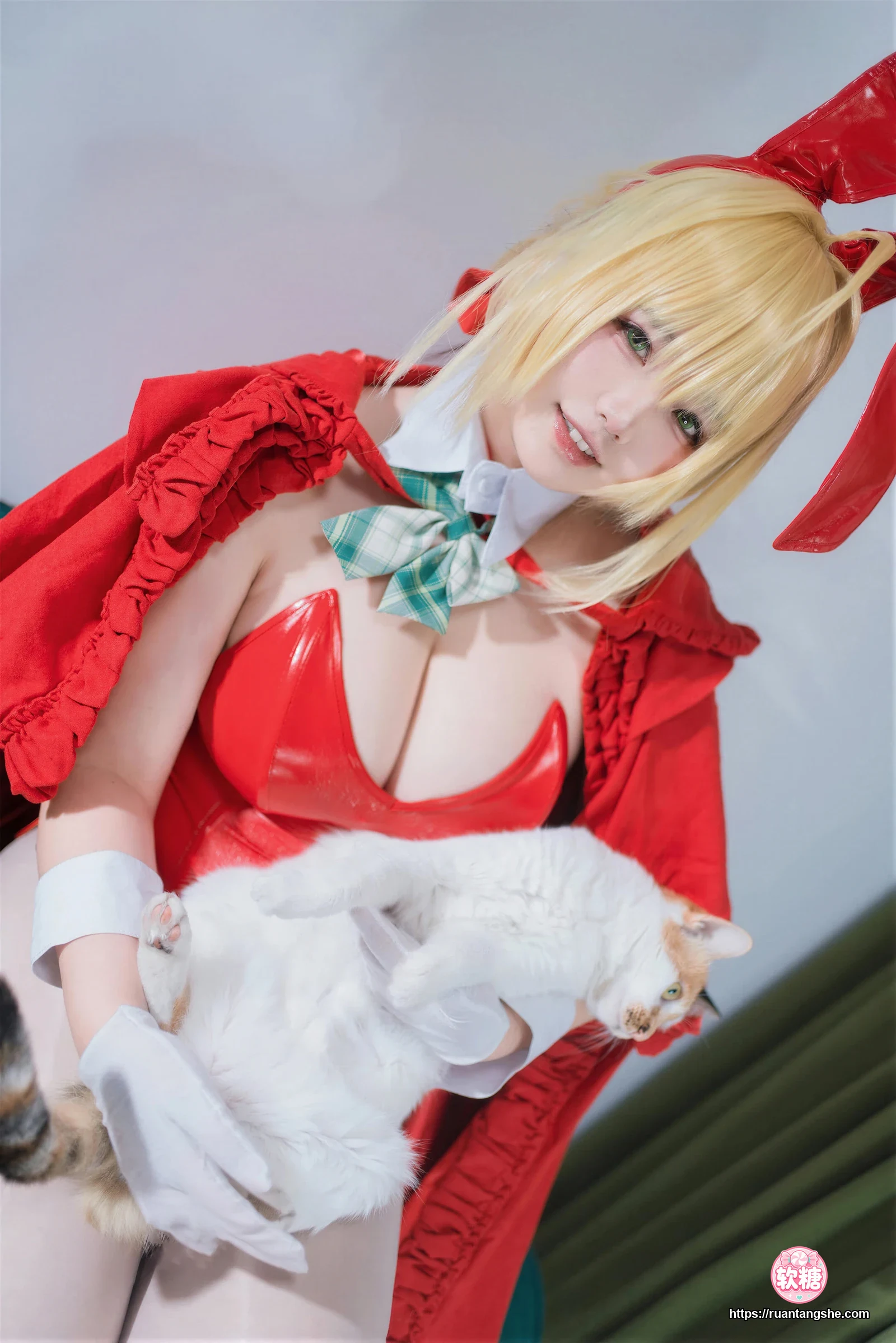 阿半今天很开心 阿半今天很开心 NO.046 - FGO 尼禄圣诞节