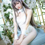 星之迟迟《樱岛麻衣兔女郎》写真图集 41P+11V｜在线预览与图包下载