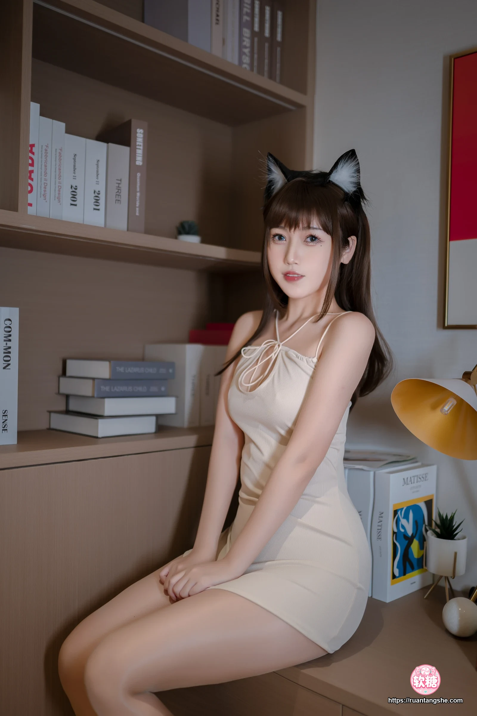 不呆猫 不呆猫 NO.053 - 家教猫老师