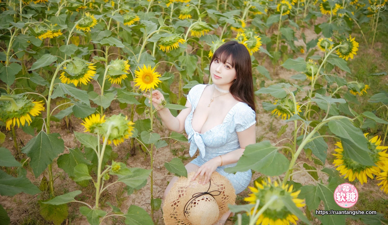 皮皮奶 皮皮奶 NO.054 - 彼女向日葵