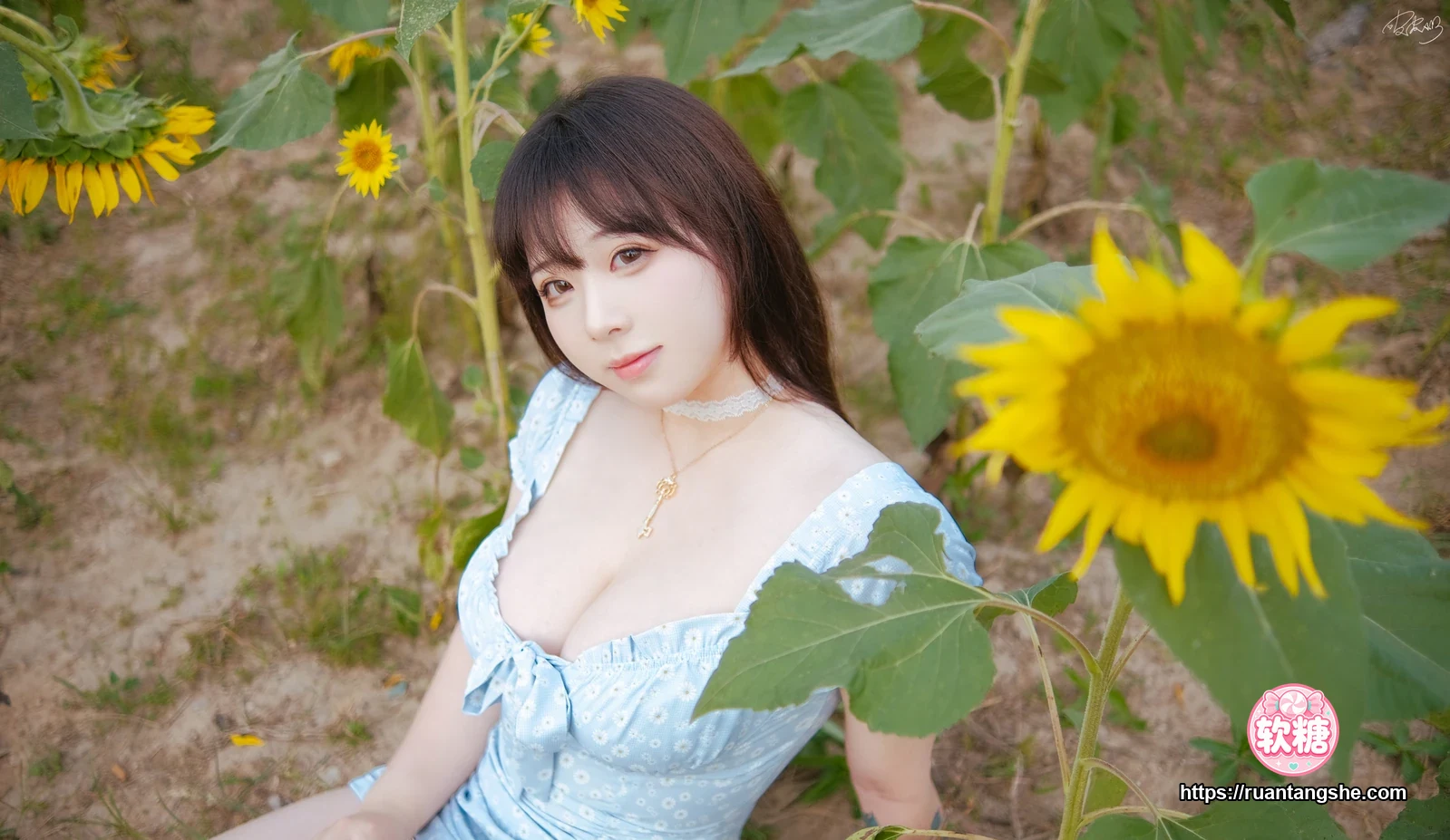 皮皮奶 皮皮奶 NO.054 - 彼女向日葵