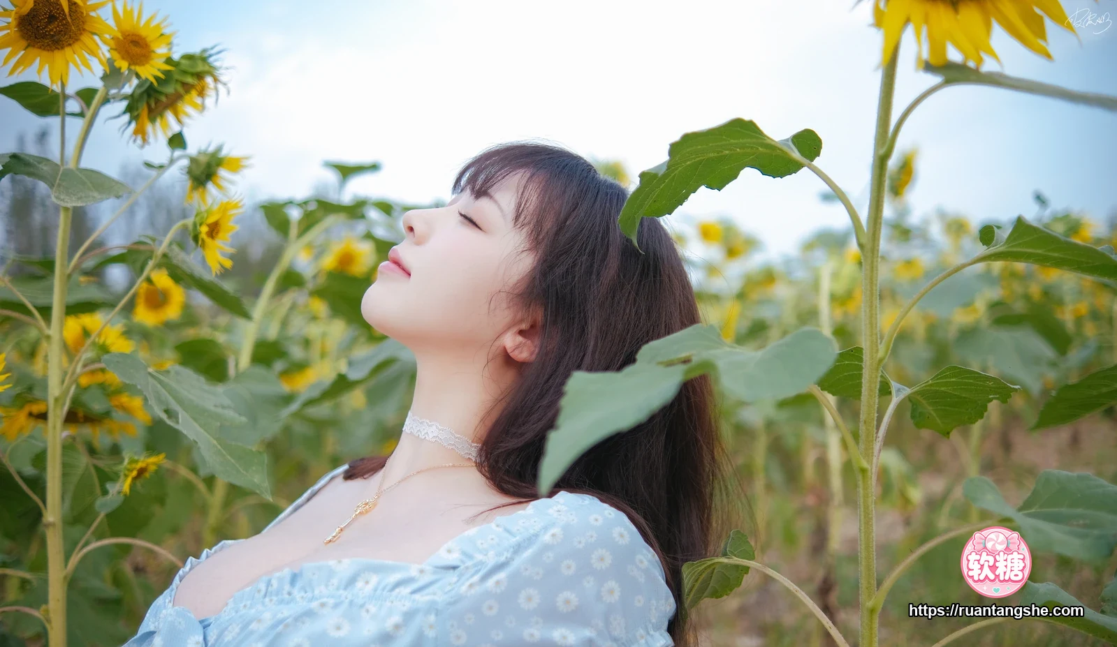 皮皮奶 皮皮奶 NO.054 - 彼女向日葵